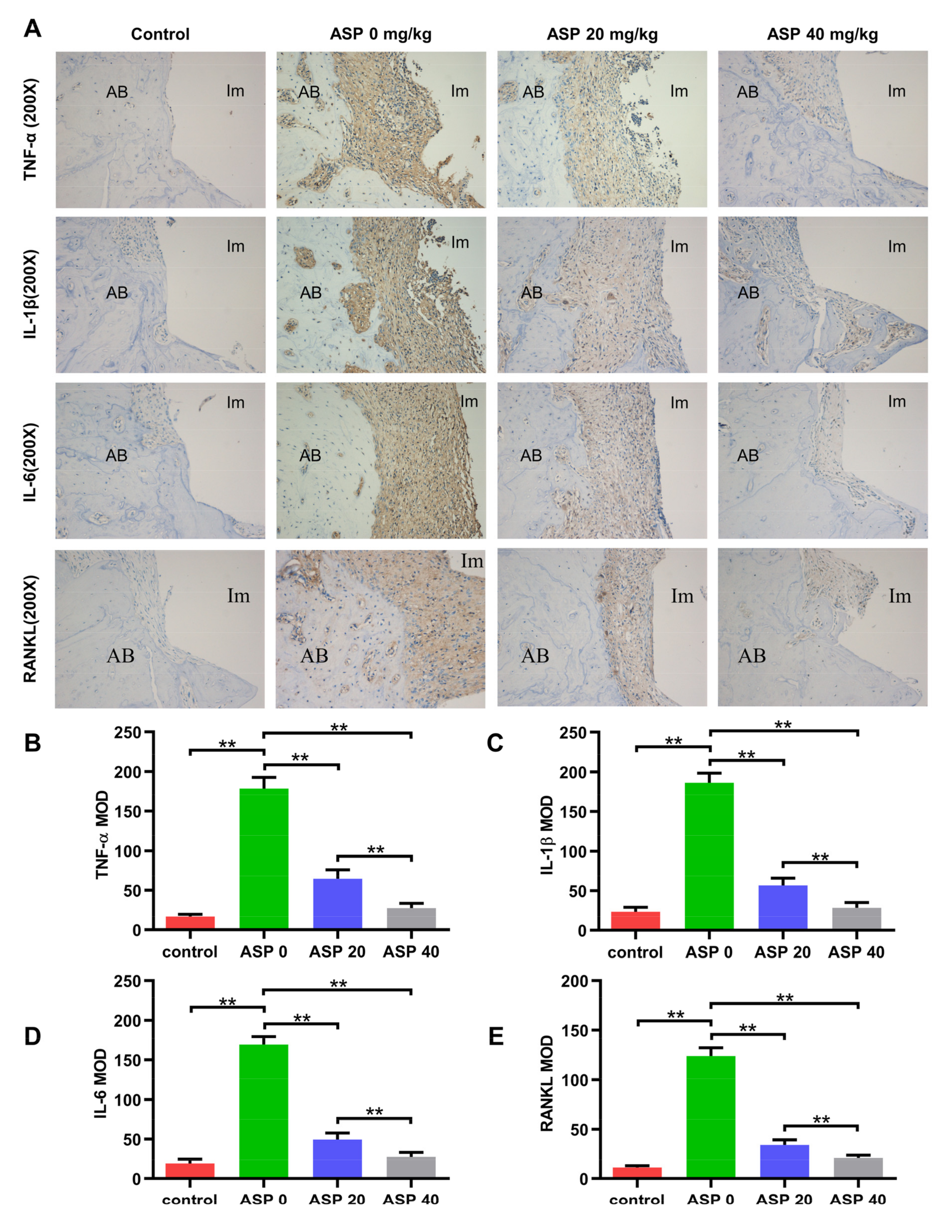 Pharmaceuticals 15 01027 g004