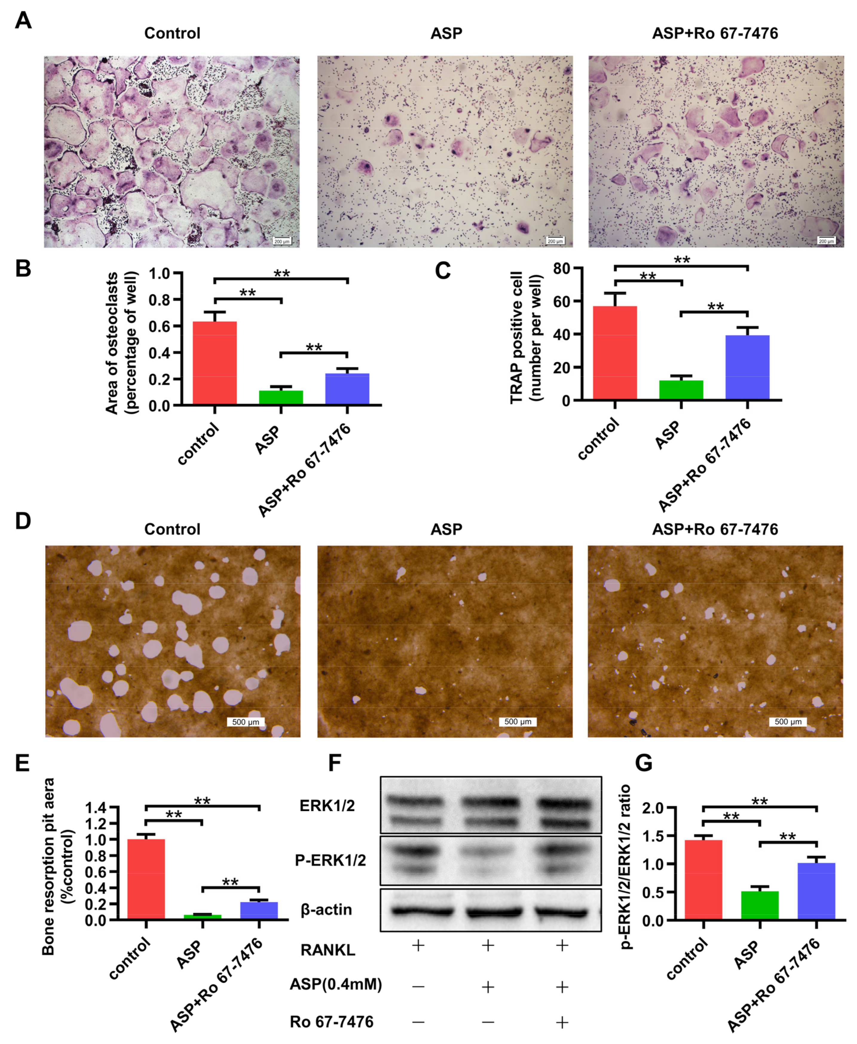 Pharmaceuticals 15 01027 g009