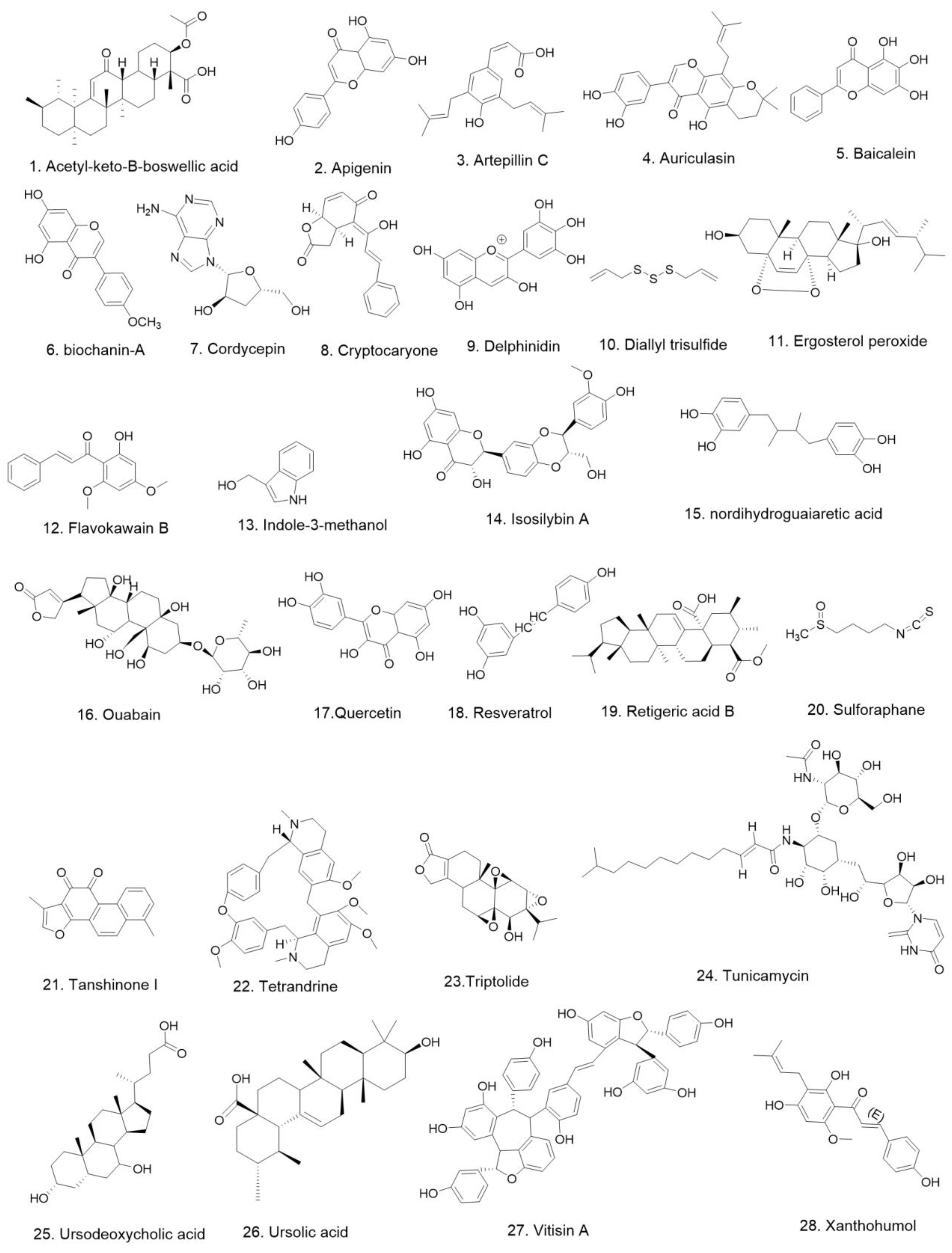 Pharmaceuticals 15 01029 g002