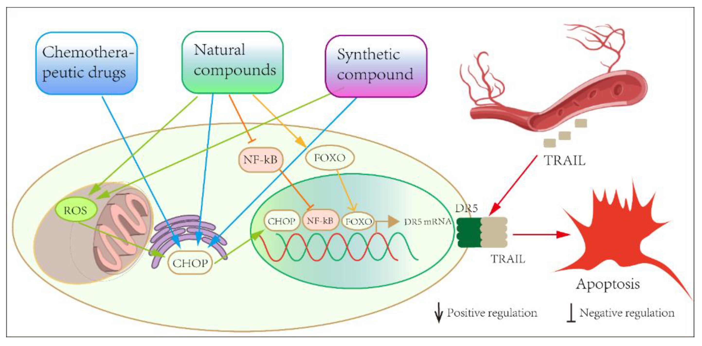 Pharmaceuticals 15 01029 g004