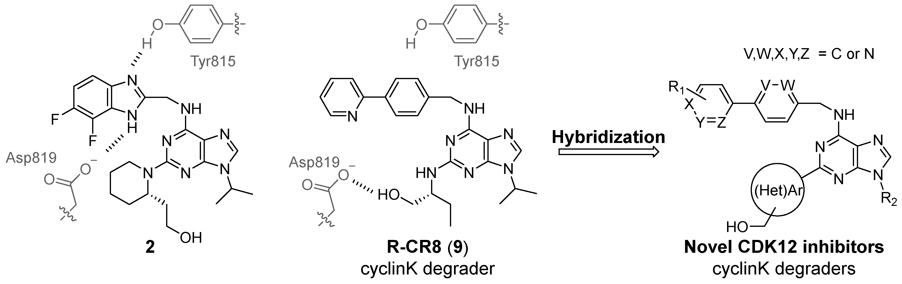 Pharmaceuticals 15 01041 g003