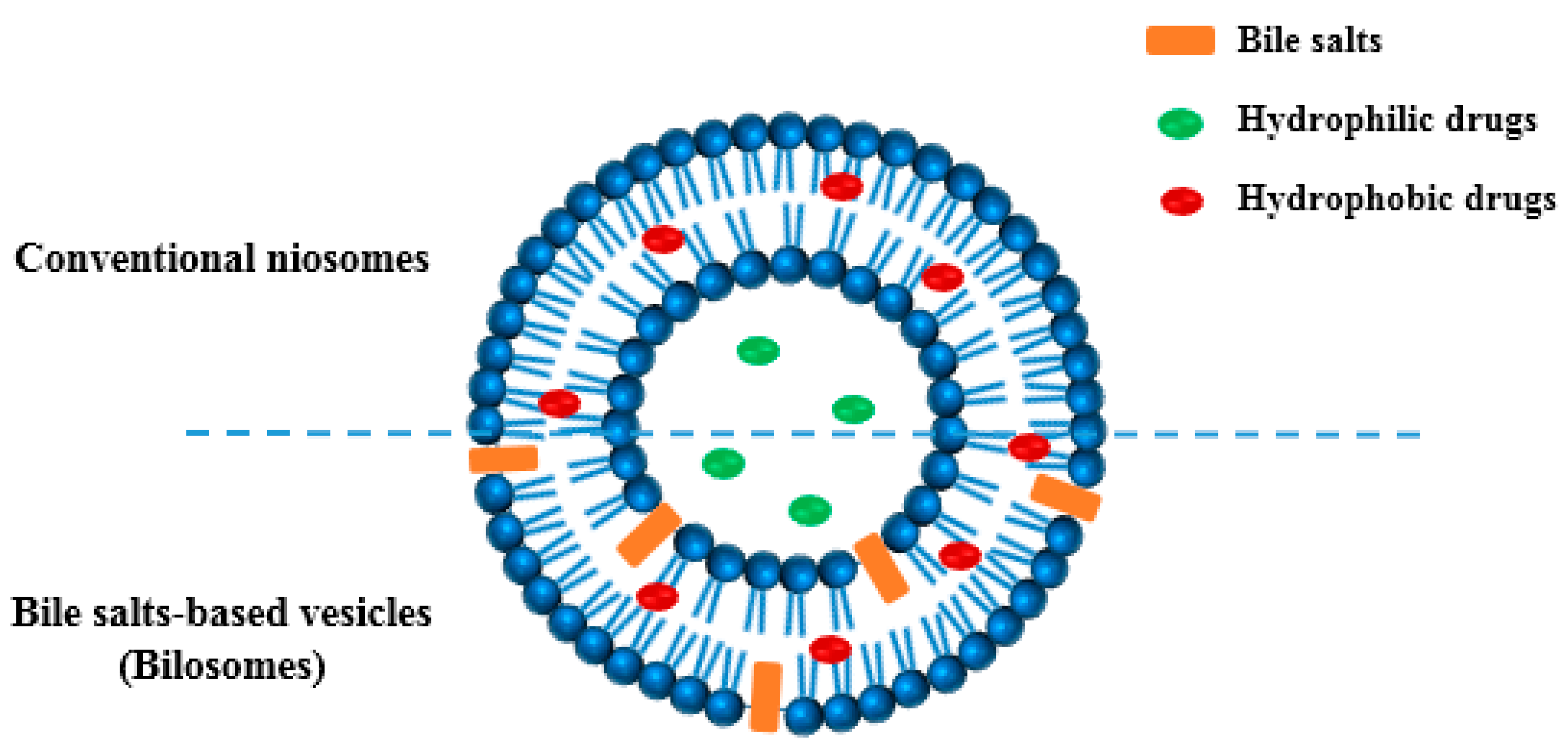 Pharmaceuticals 15 01043 g001 550