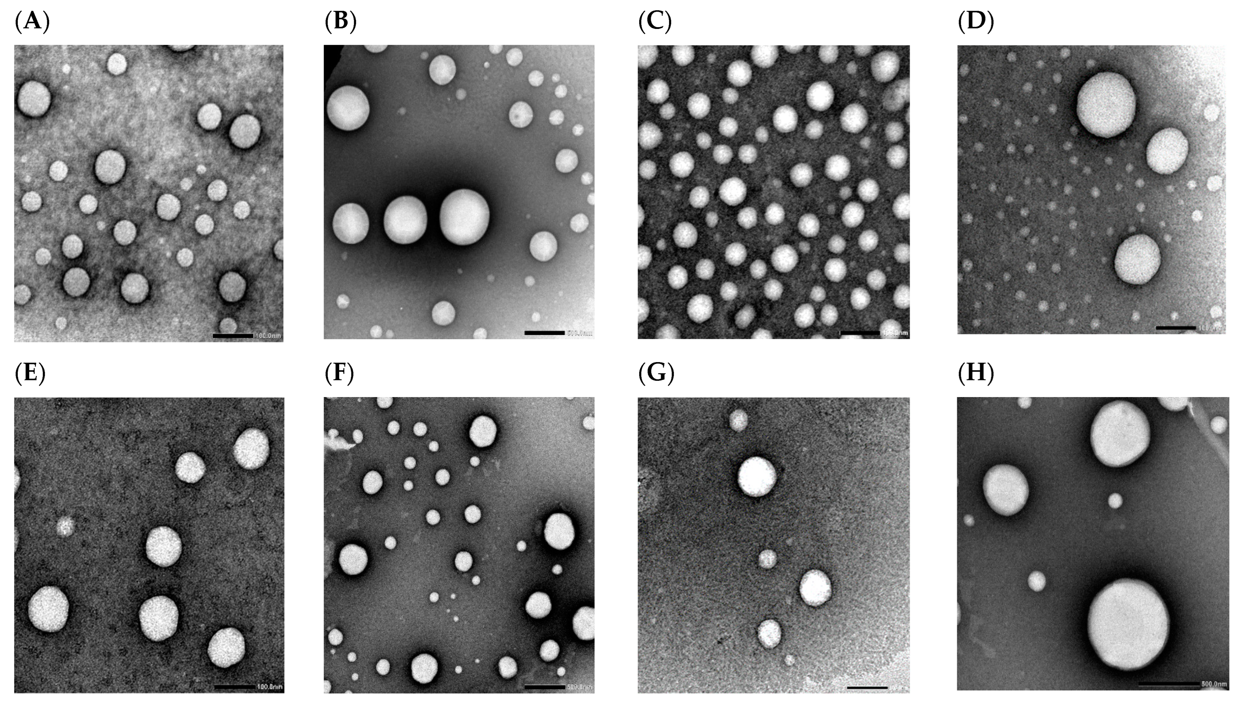 Pharmaceuticals 15 01043 g009 550