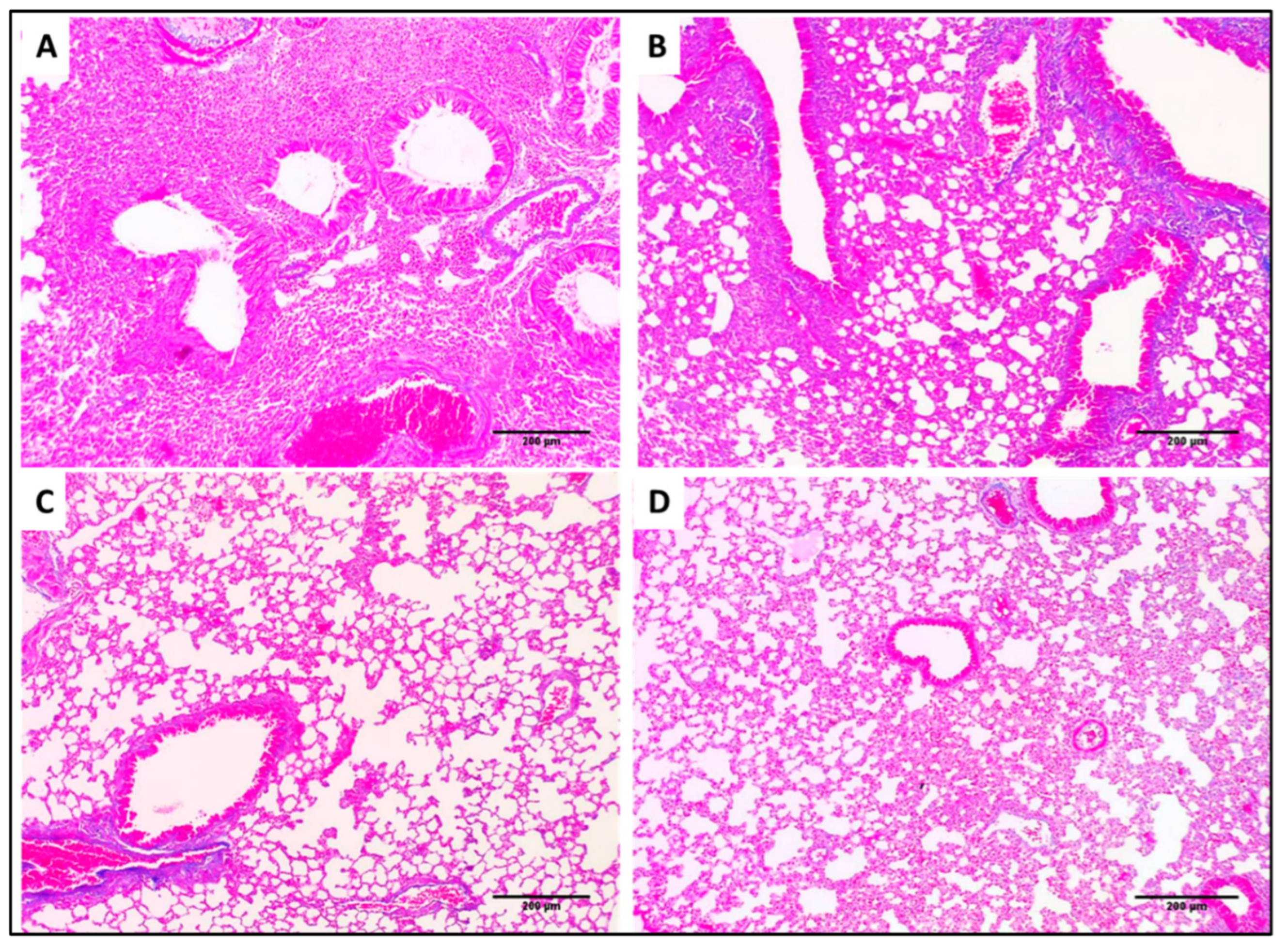 Pharmaceuticals 15 01043 g014 550