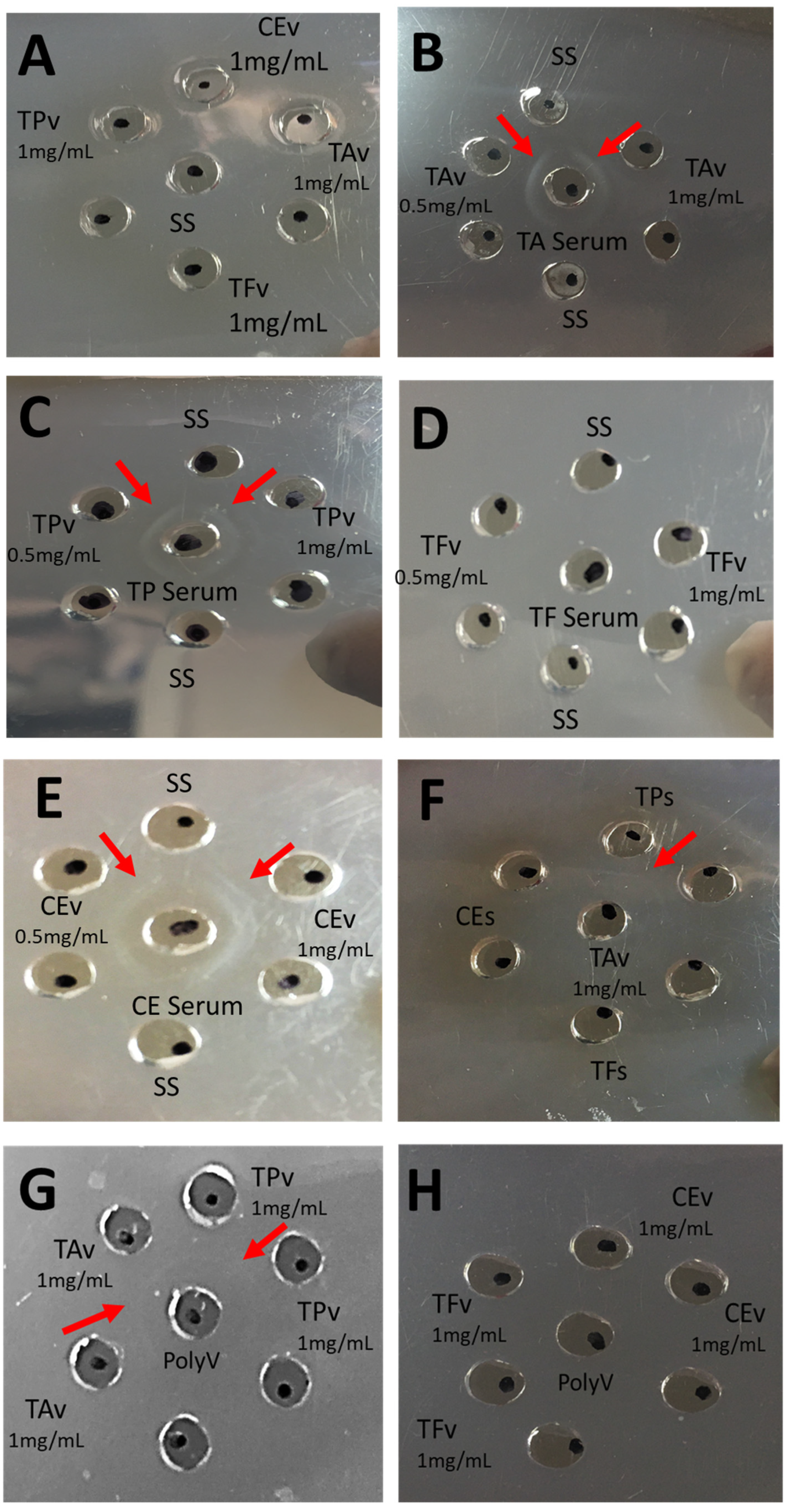 Pharmaceuticals 15 01047 g005 550