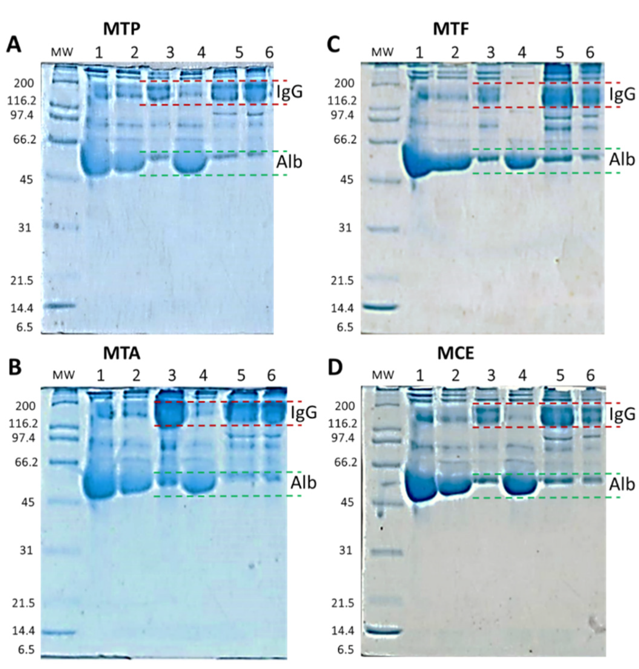Pharmaceuticals 15 01047 g007 550
