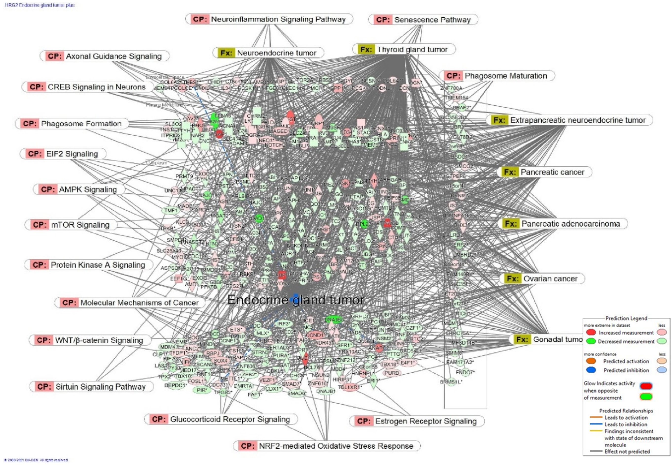 Pharmaceuticals 15 01051 g005