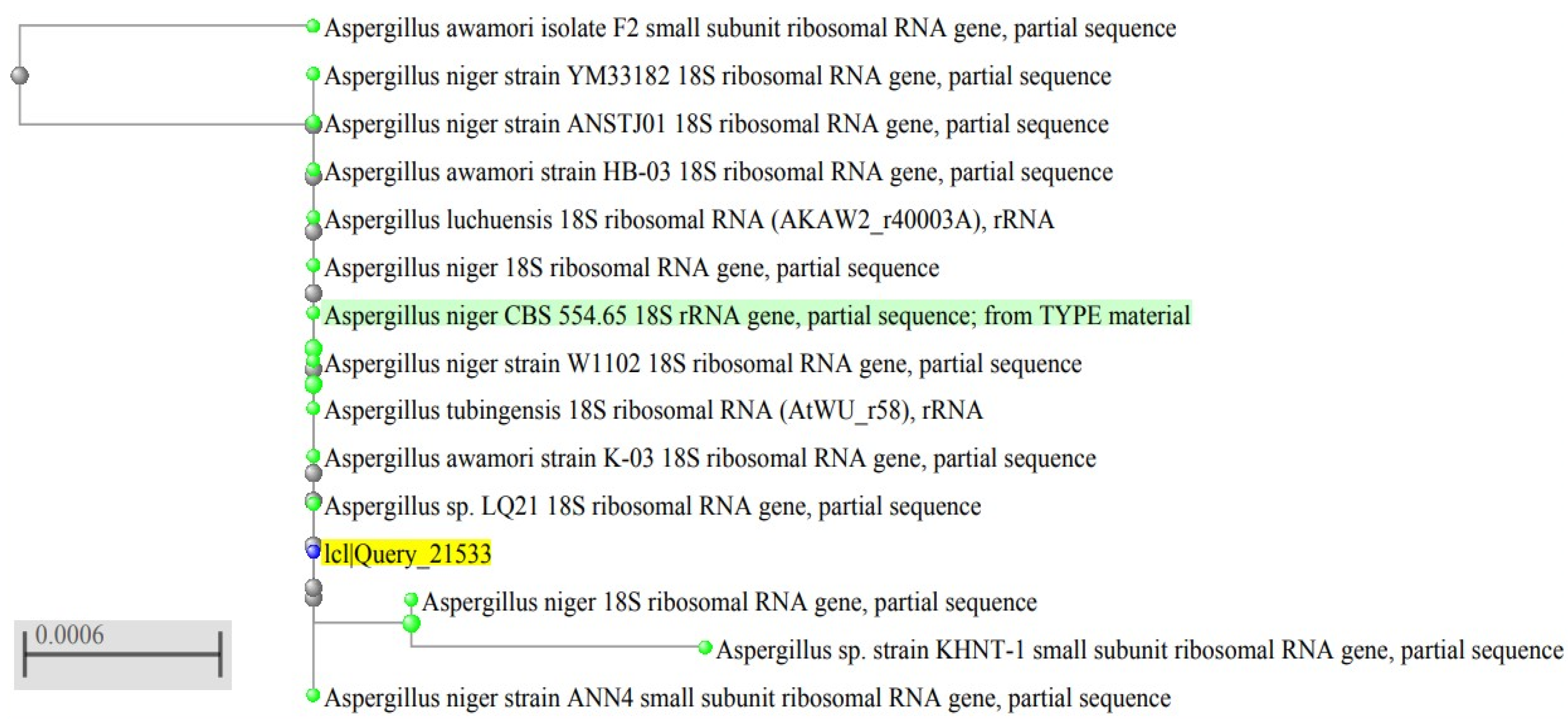Pharmaceuticals 15 01057 g001