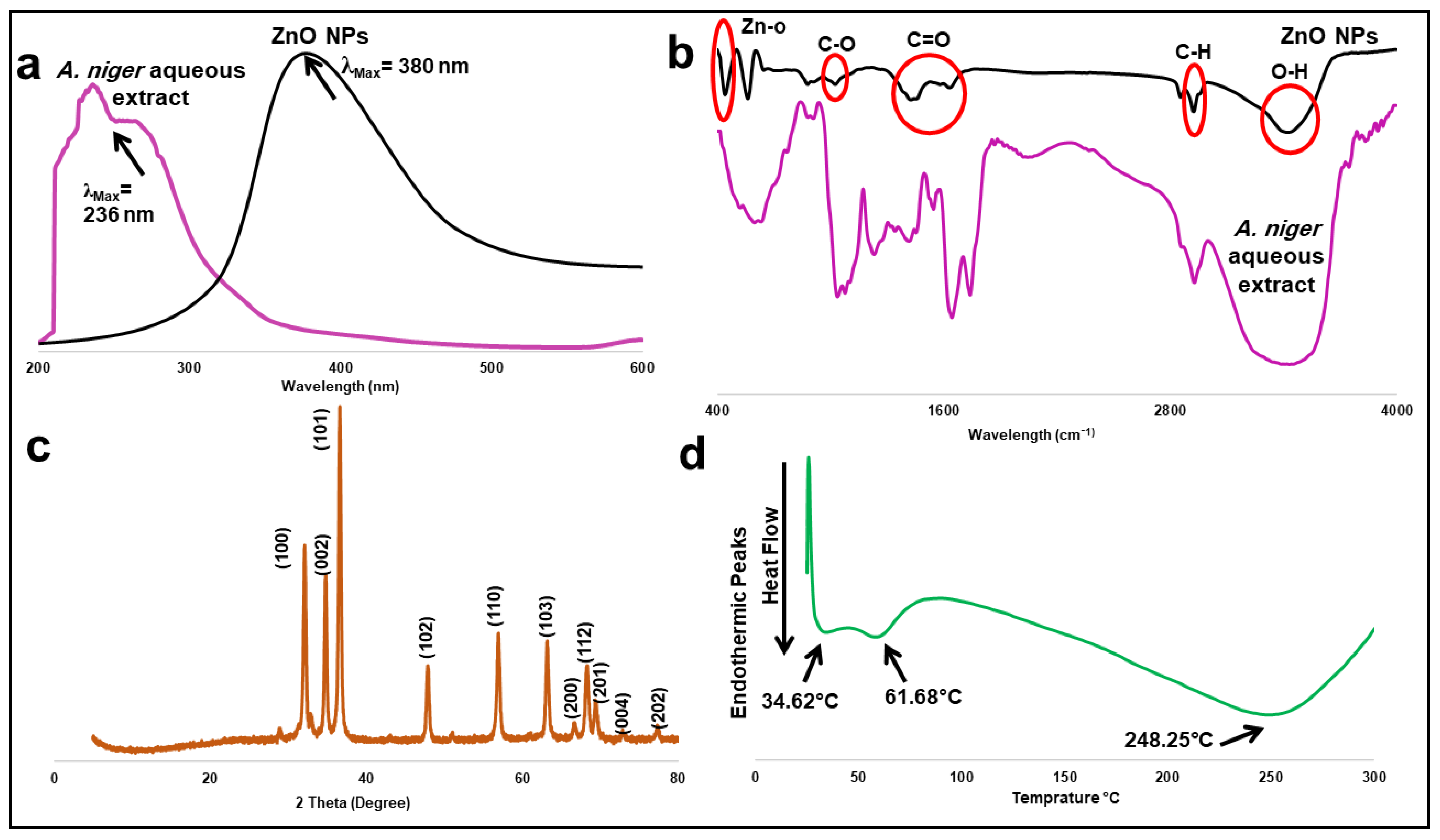 Pharmaceuticals 15 01057 g002