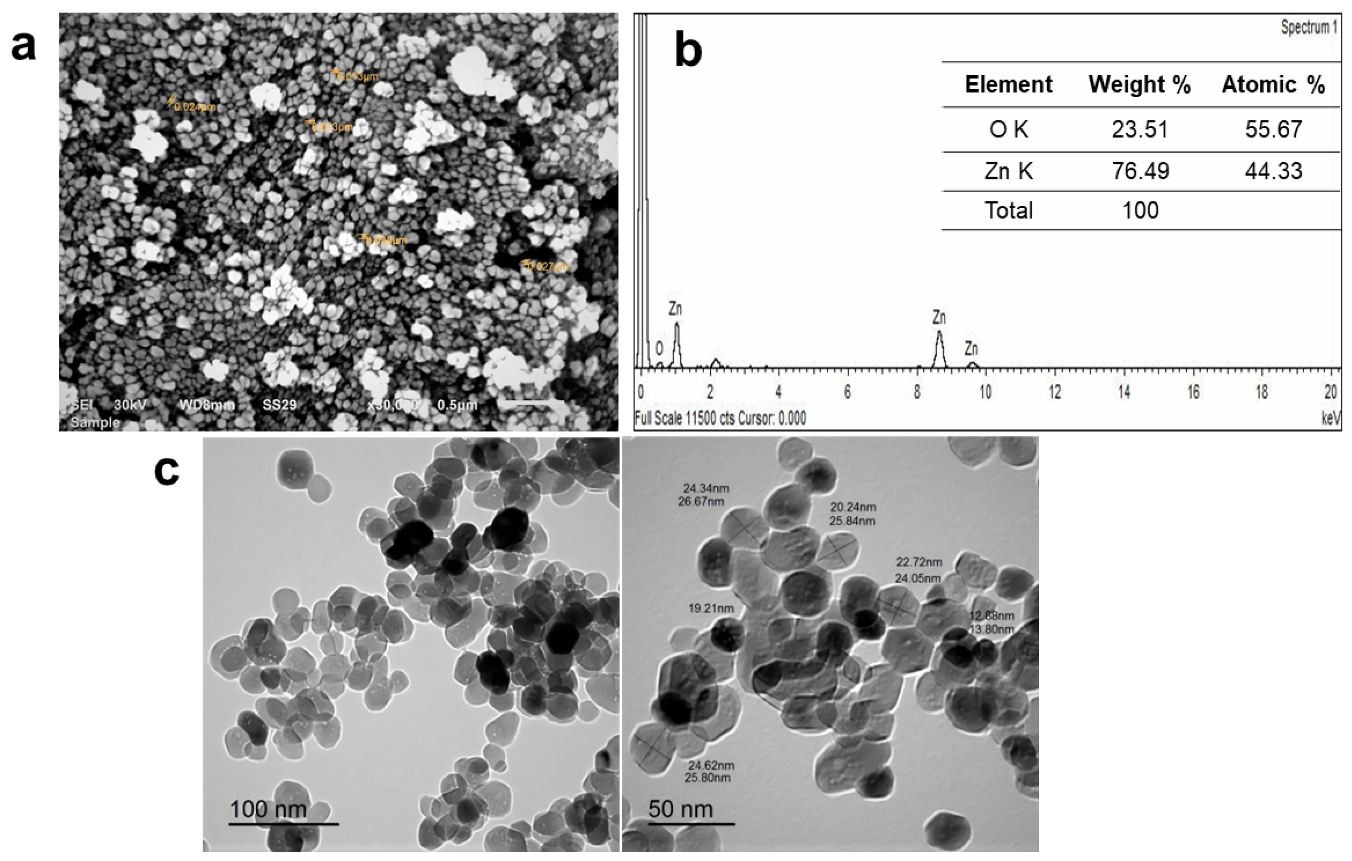 Pharmaceuticals 15 01057 g003