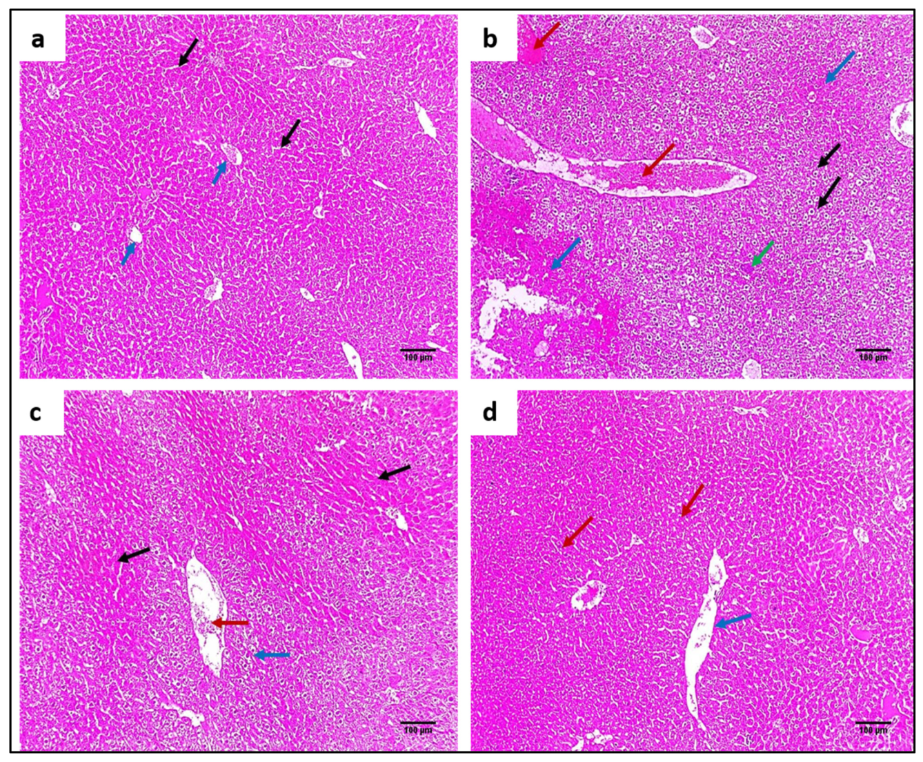 Pharmaceuticals 15 01057 g008