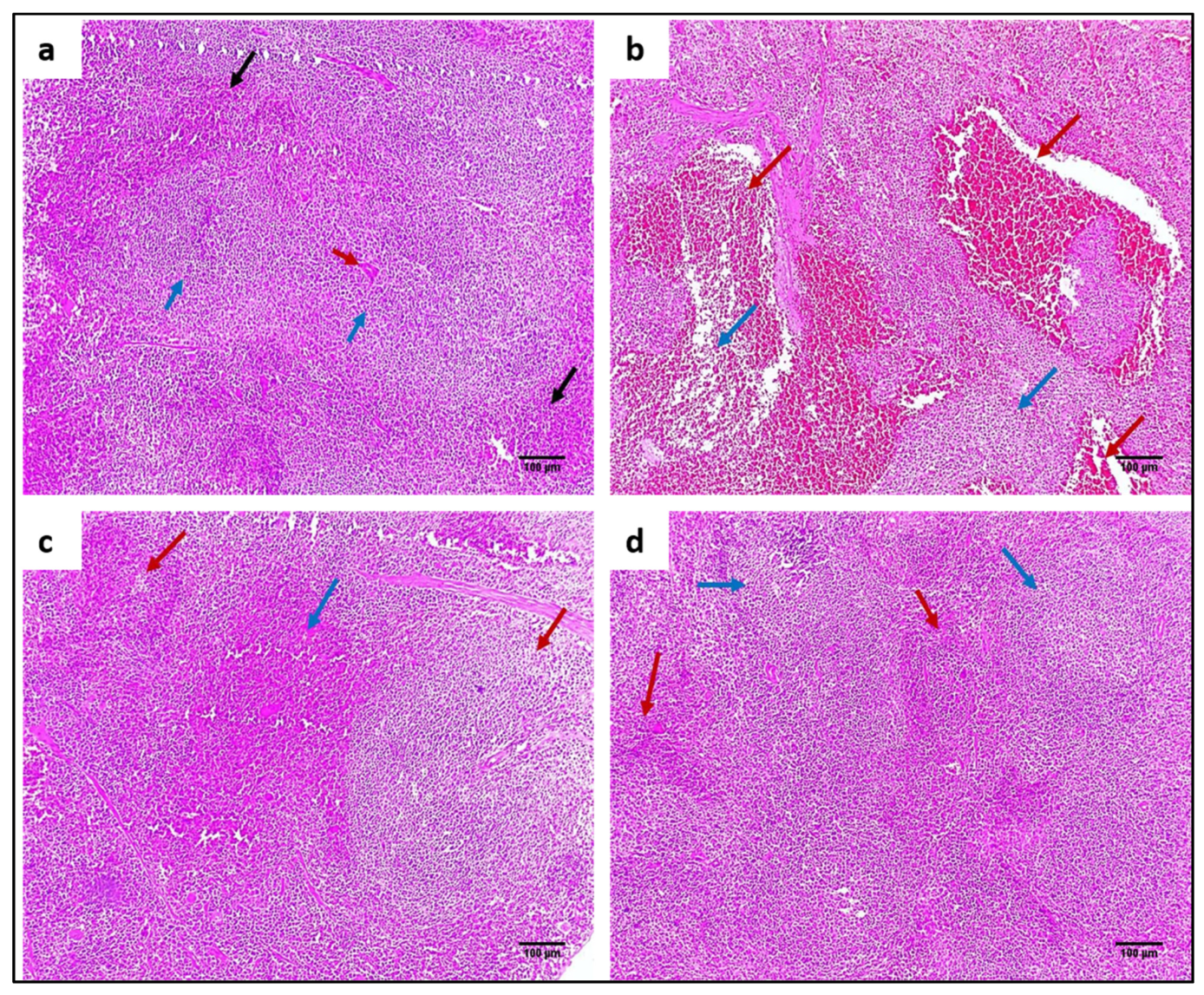 Pharmaceuticals 15 01057 g009