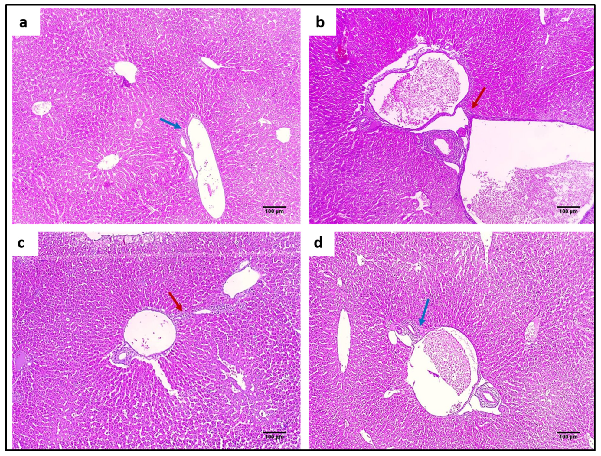 Pharmaceuticals 15 01057 g010