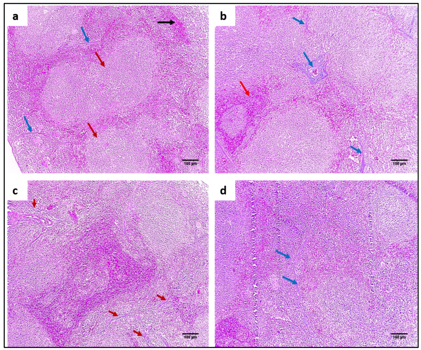 Pharmaceuticals 15 01057 g011