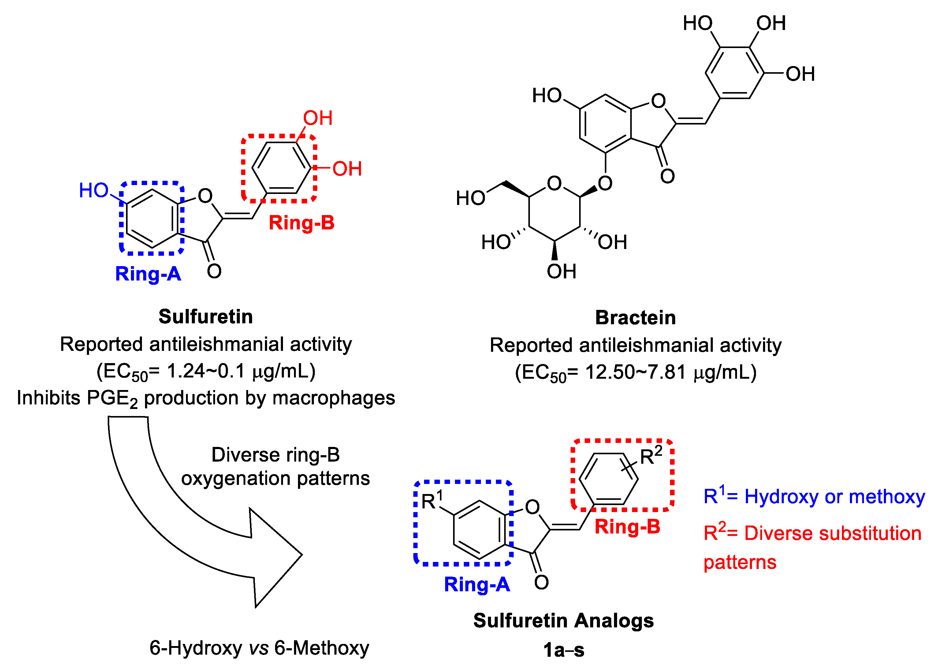 Pharmaceuticals 15 01058 g001