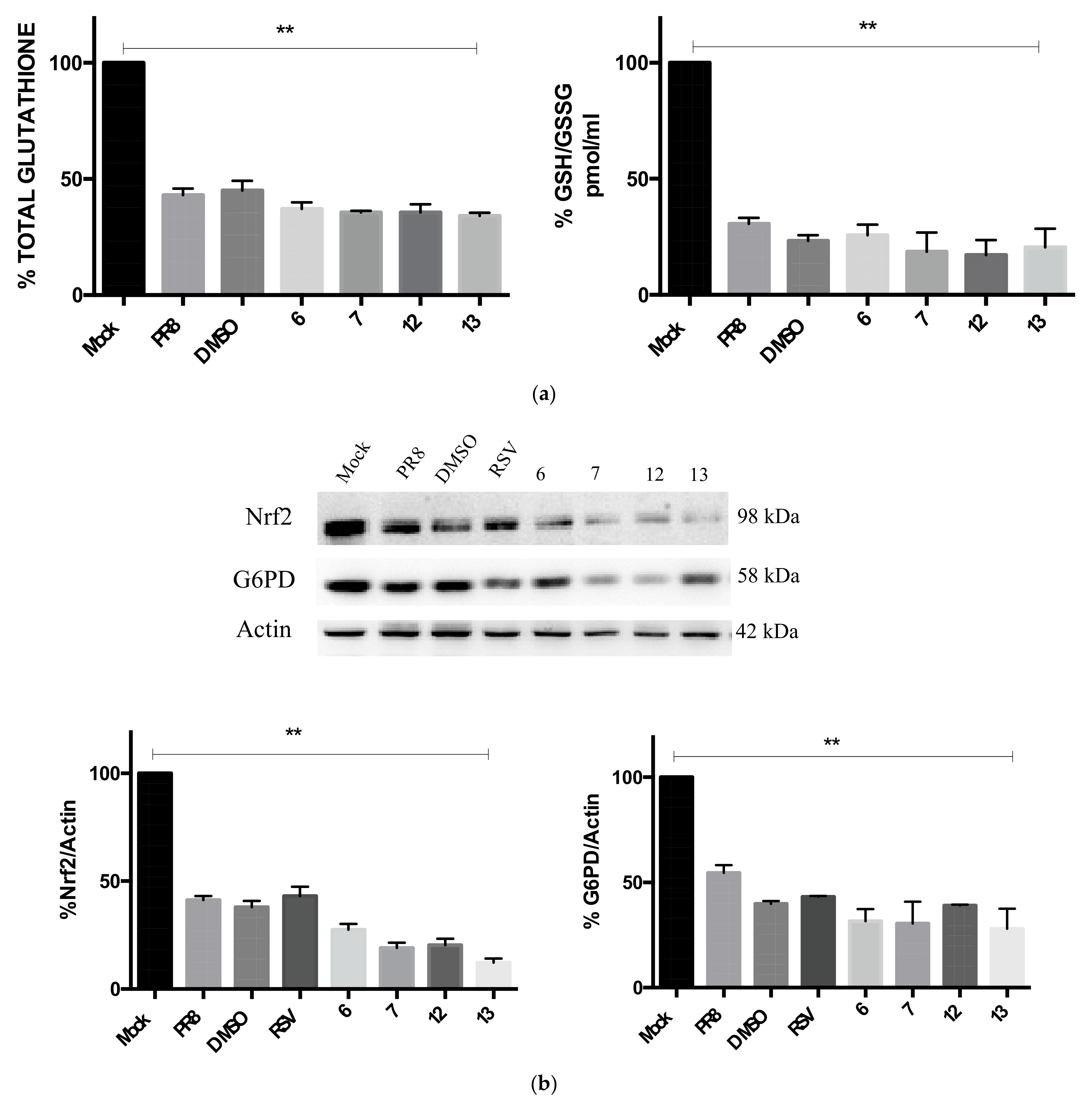 Pharmaceuticals 15 01061 g005
