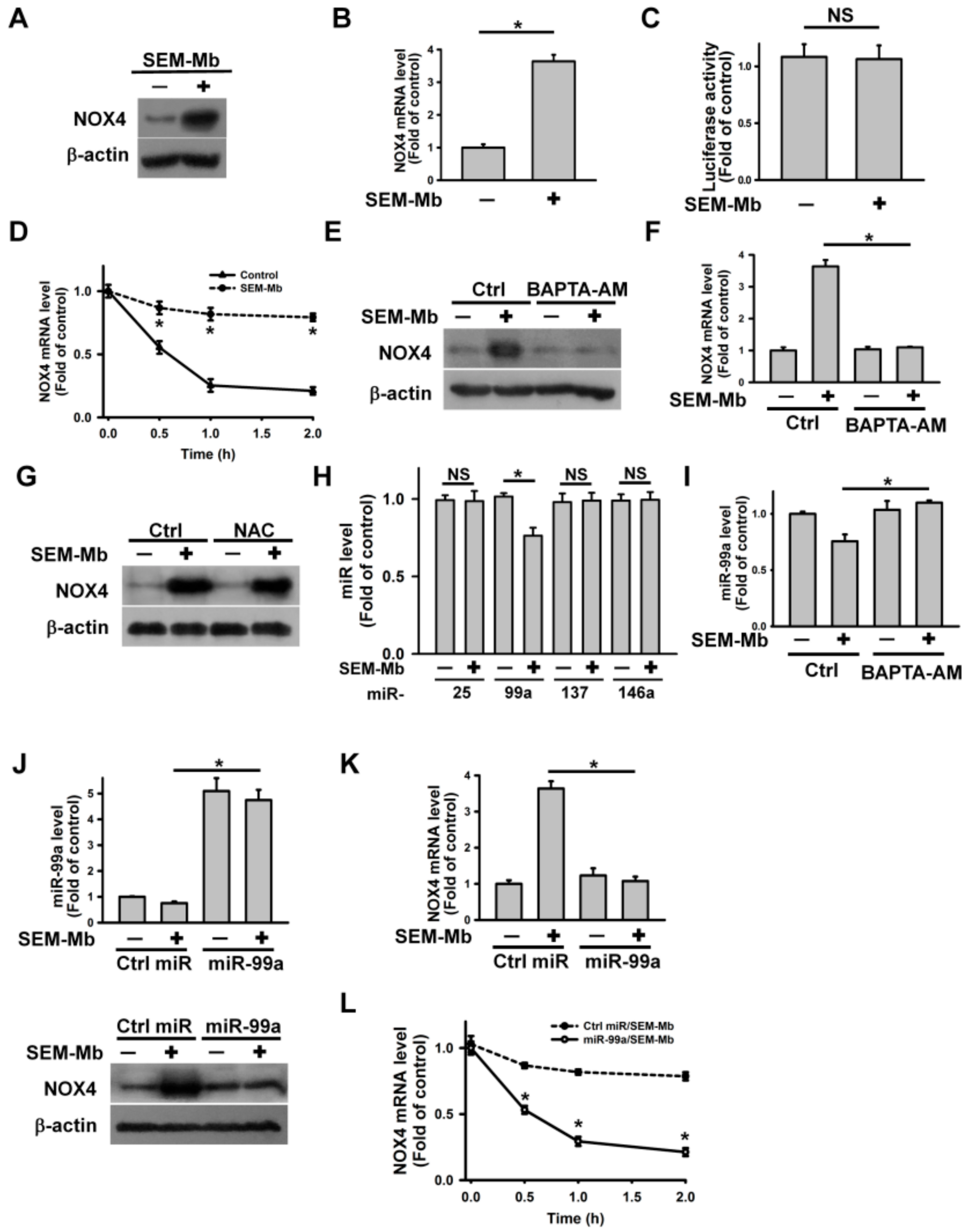 Pharmaceuticals 15 01066 g002