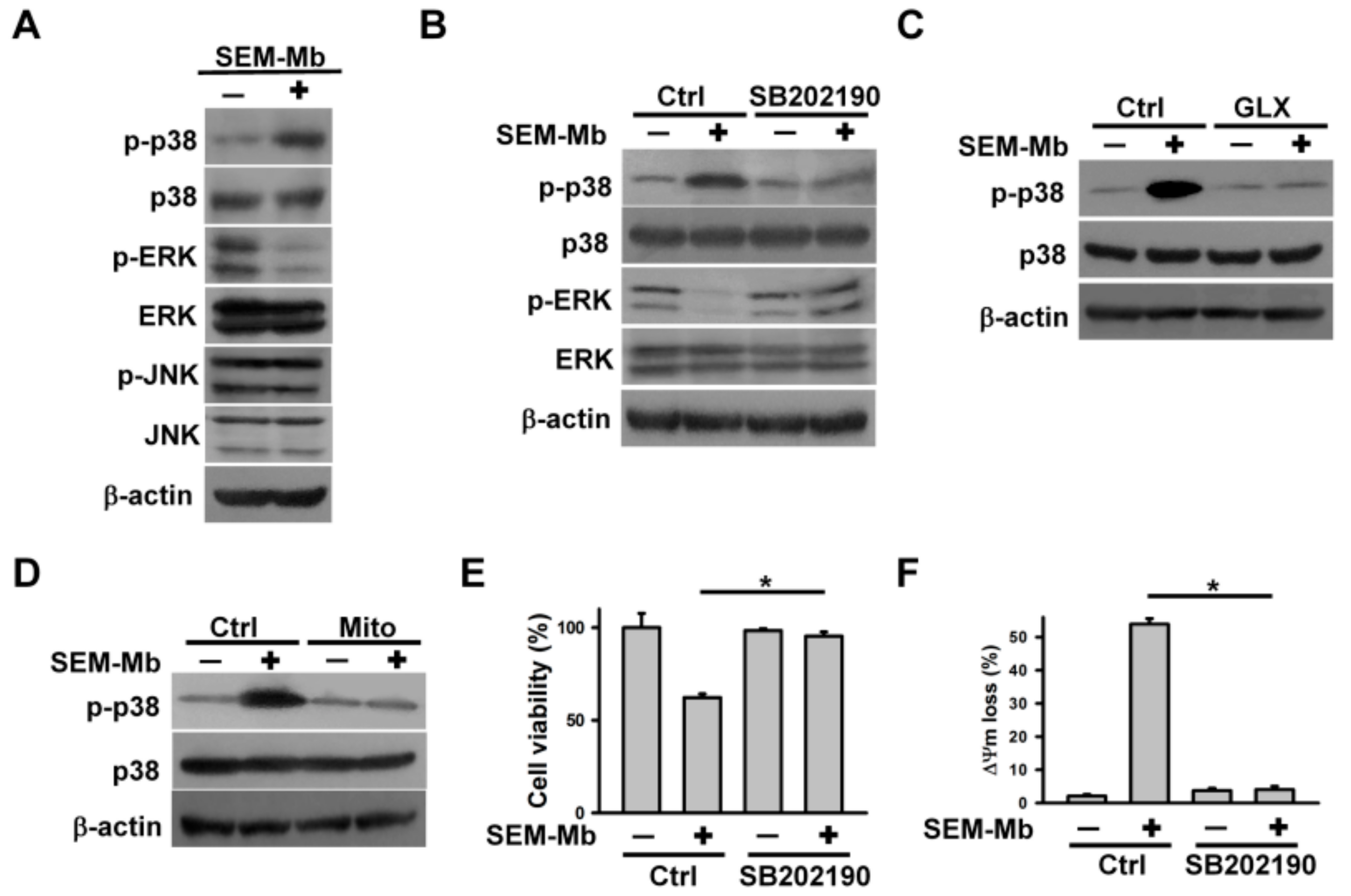 Pharmaceuticals 15 01066 g003