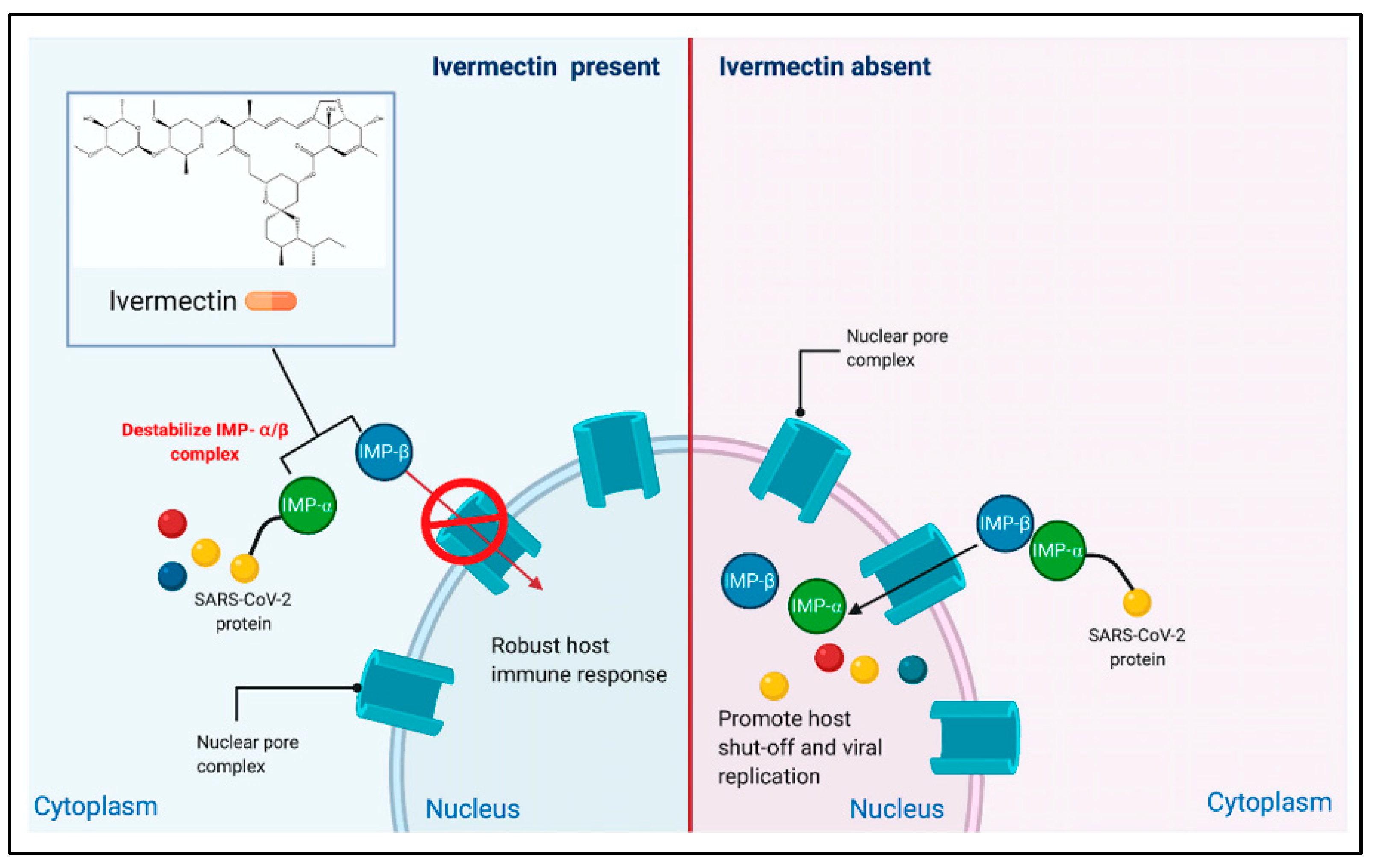 Pharmaceuticals 15 01068 g002