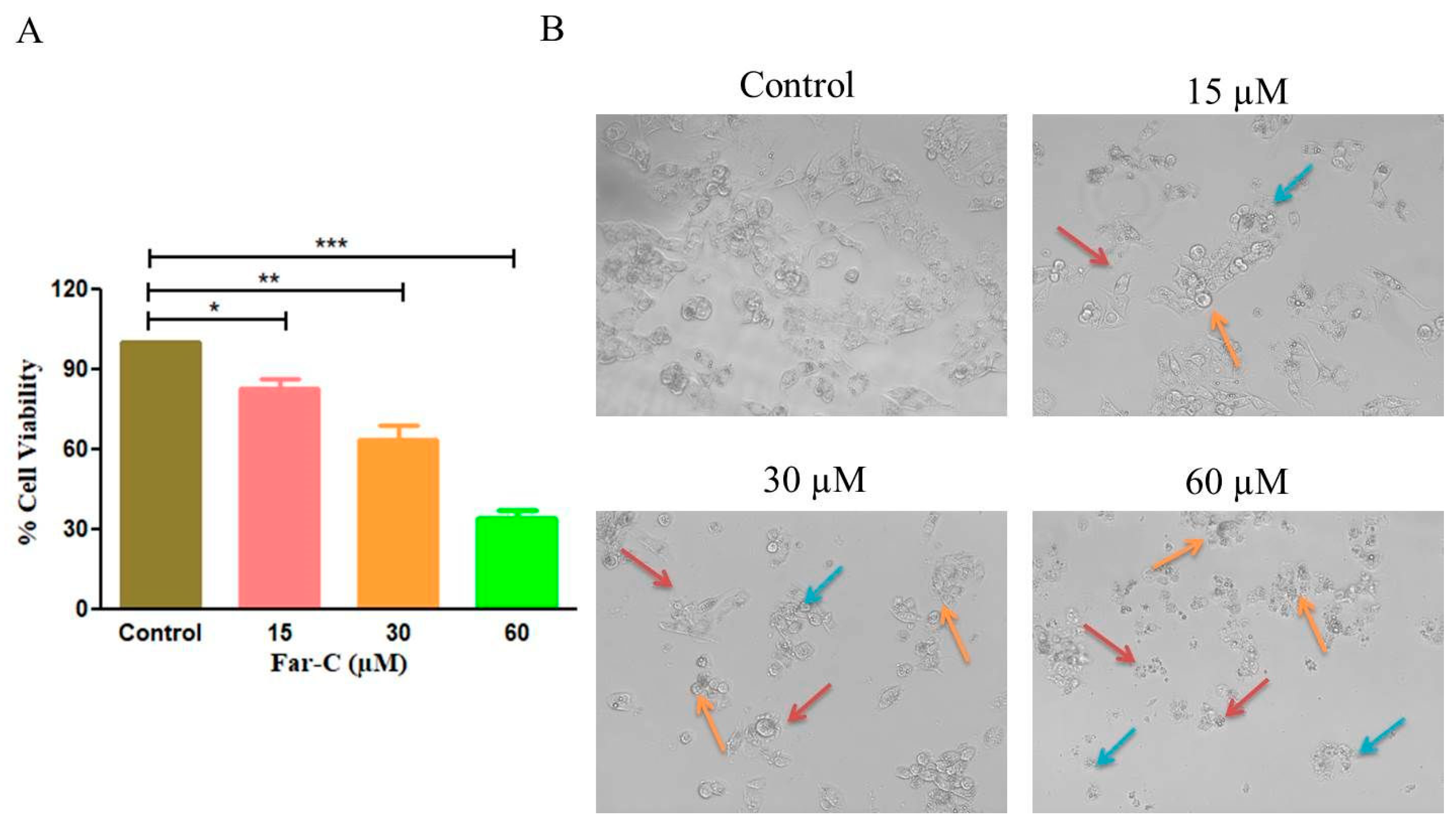 Pharmaceuticals 15 01070 g002