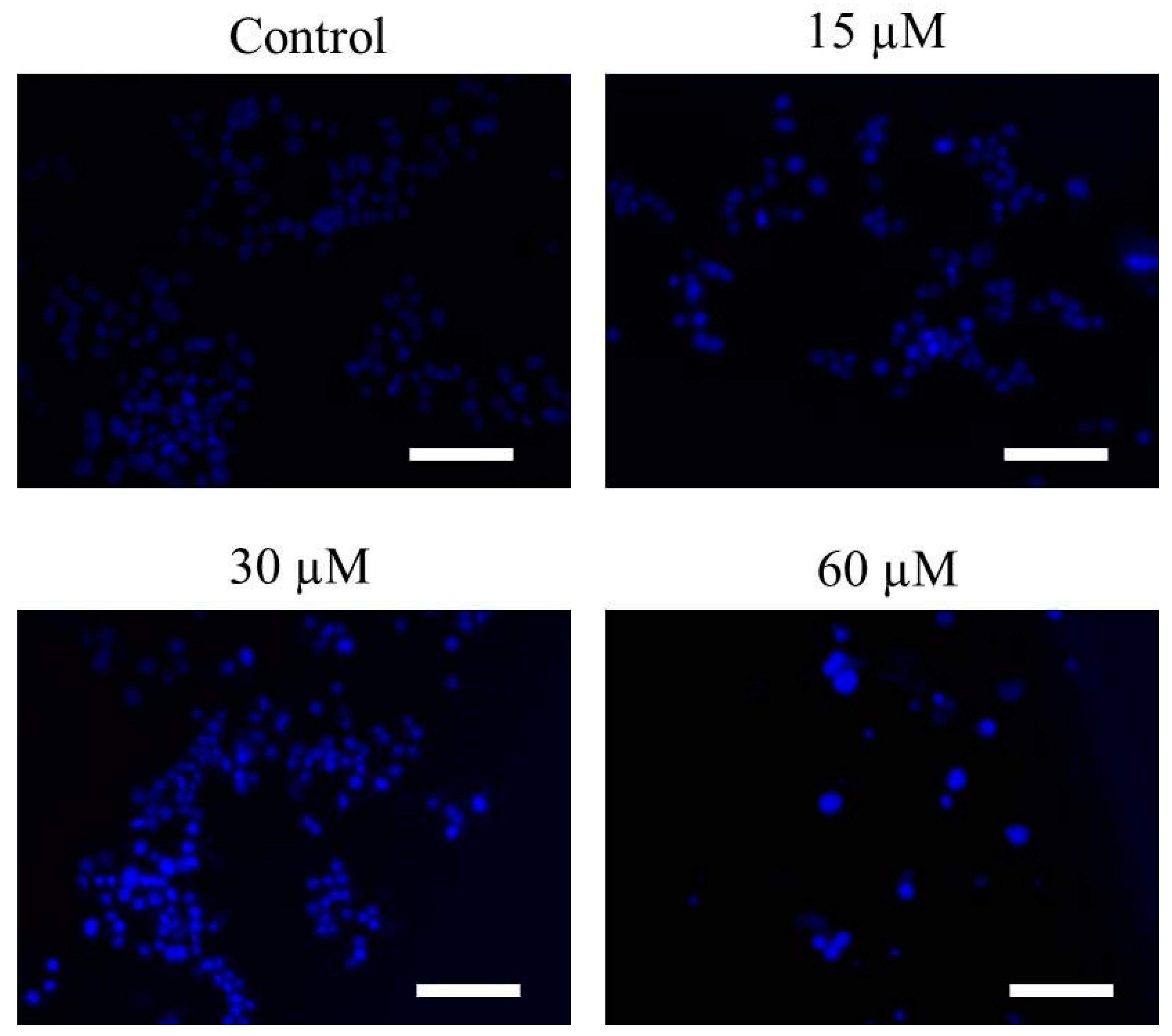 Pharmaceuticals 15 01070 g003