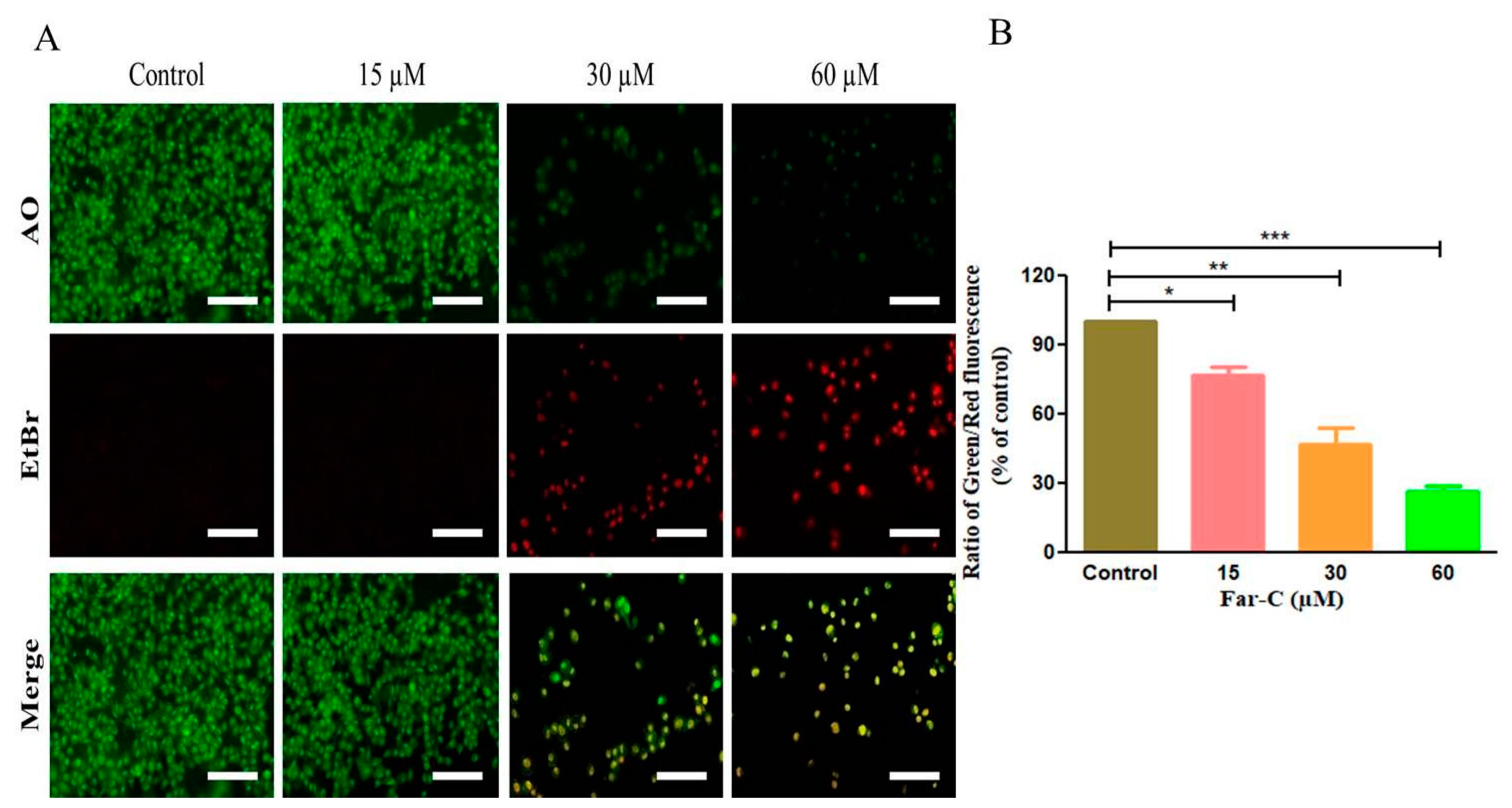 Pharmaceuticals 15 01070 g004