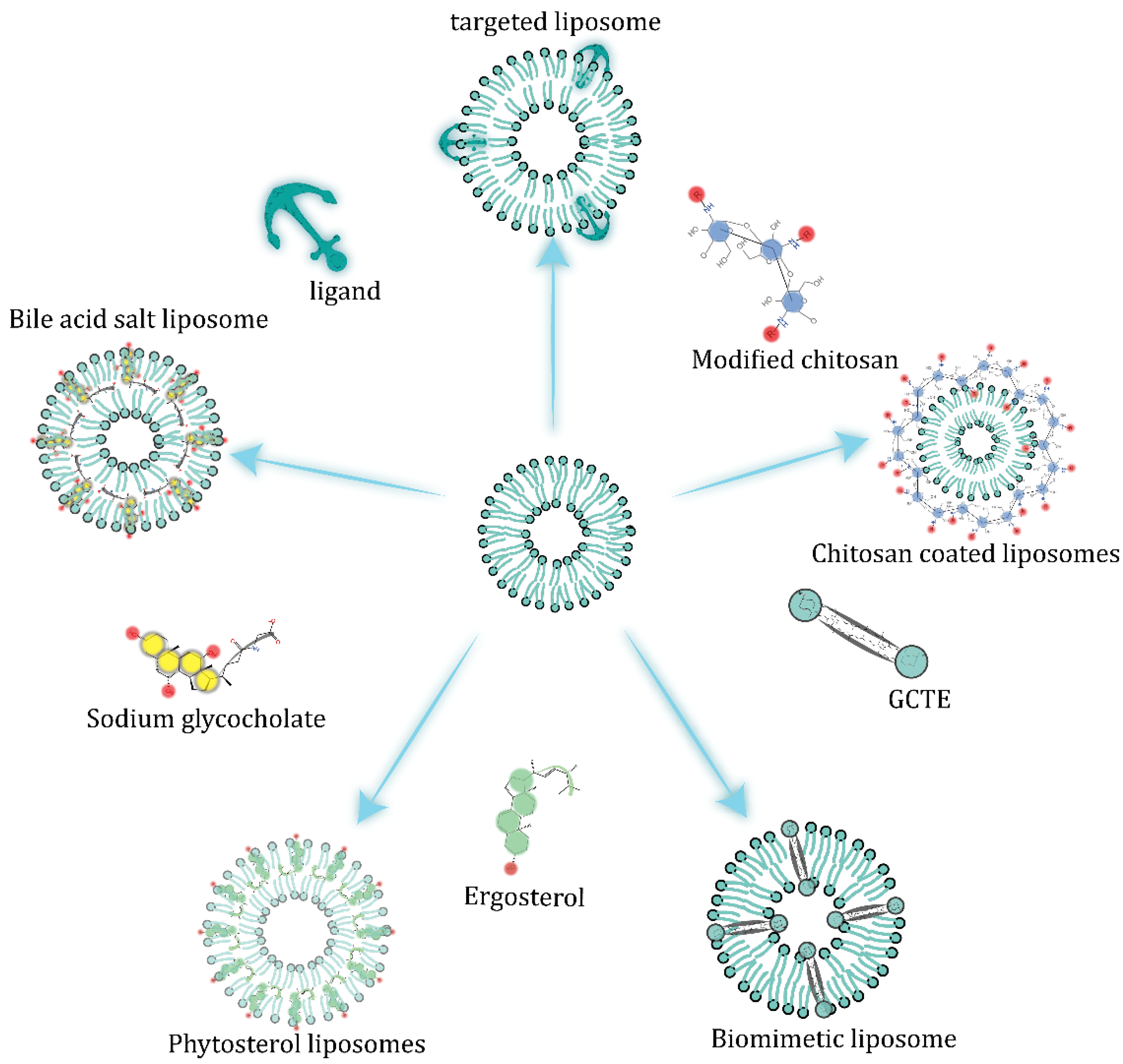 Pharmaceuticals 15 01072 g003