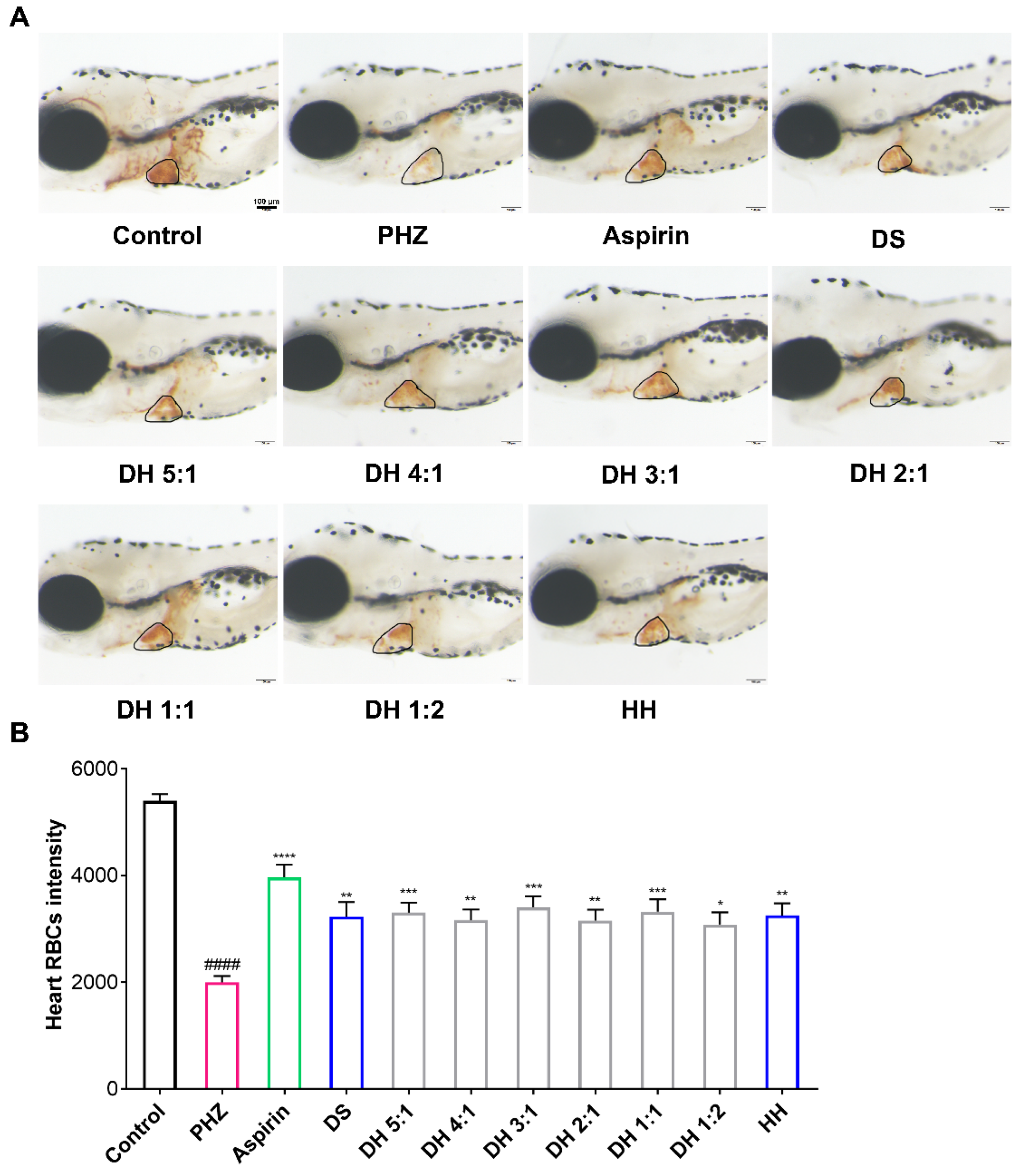 Pharmaceuticals 15 01073 g001