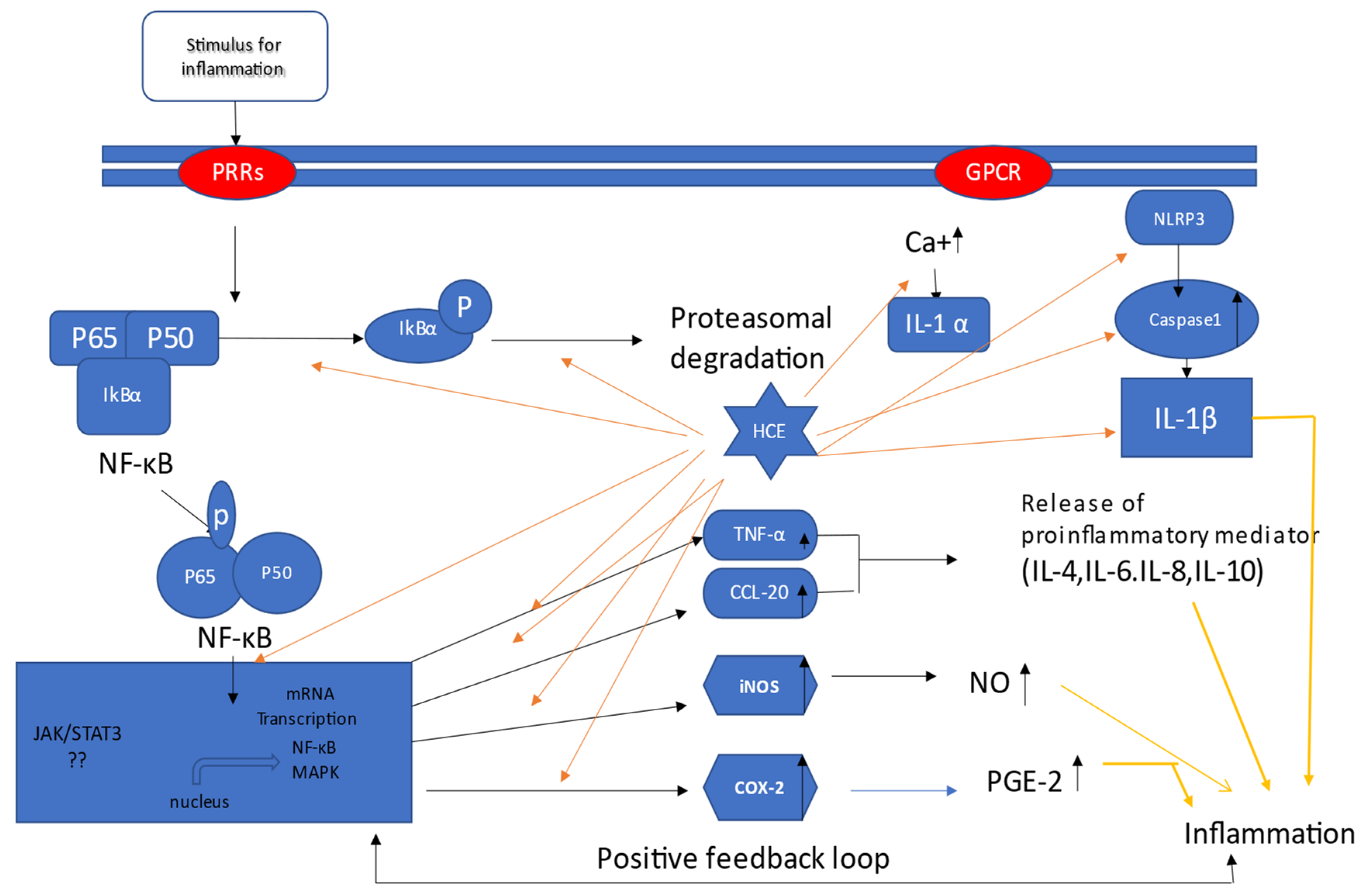 Pharmaceuticals 15 01079 g001