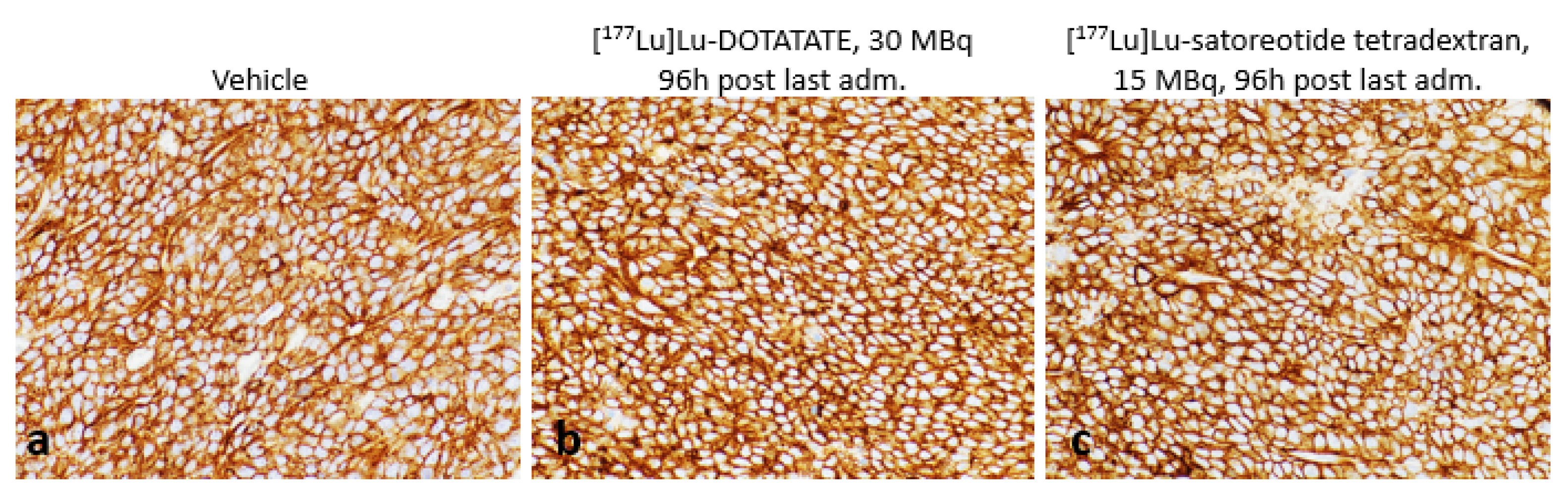 Pharmaceuticals 15 01085 g003 550