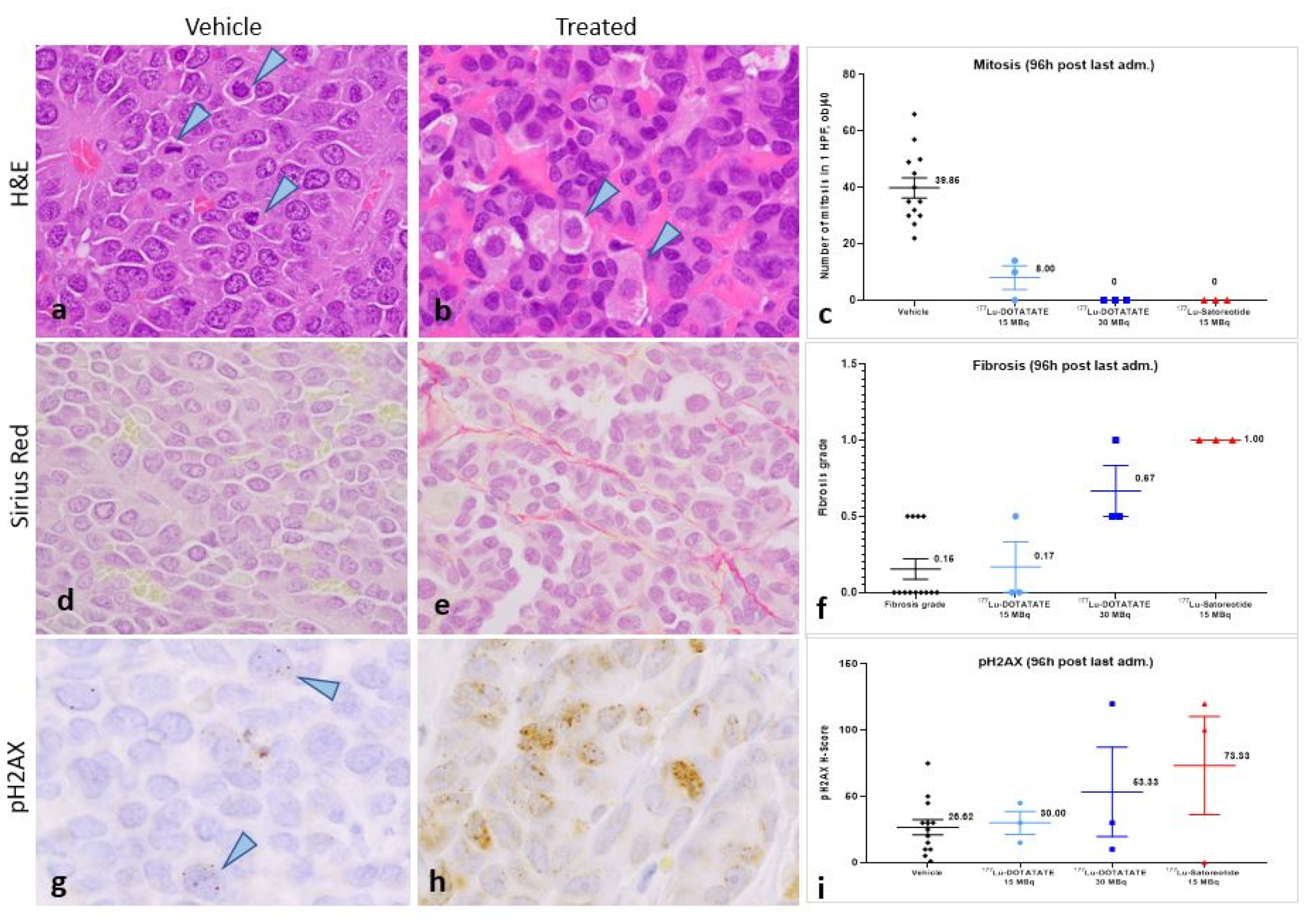 Pharmaceuticals 15 01085 g004 550