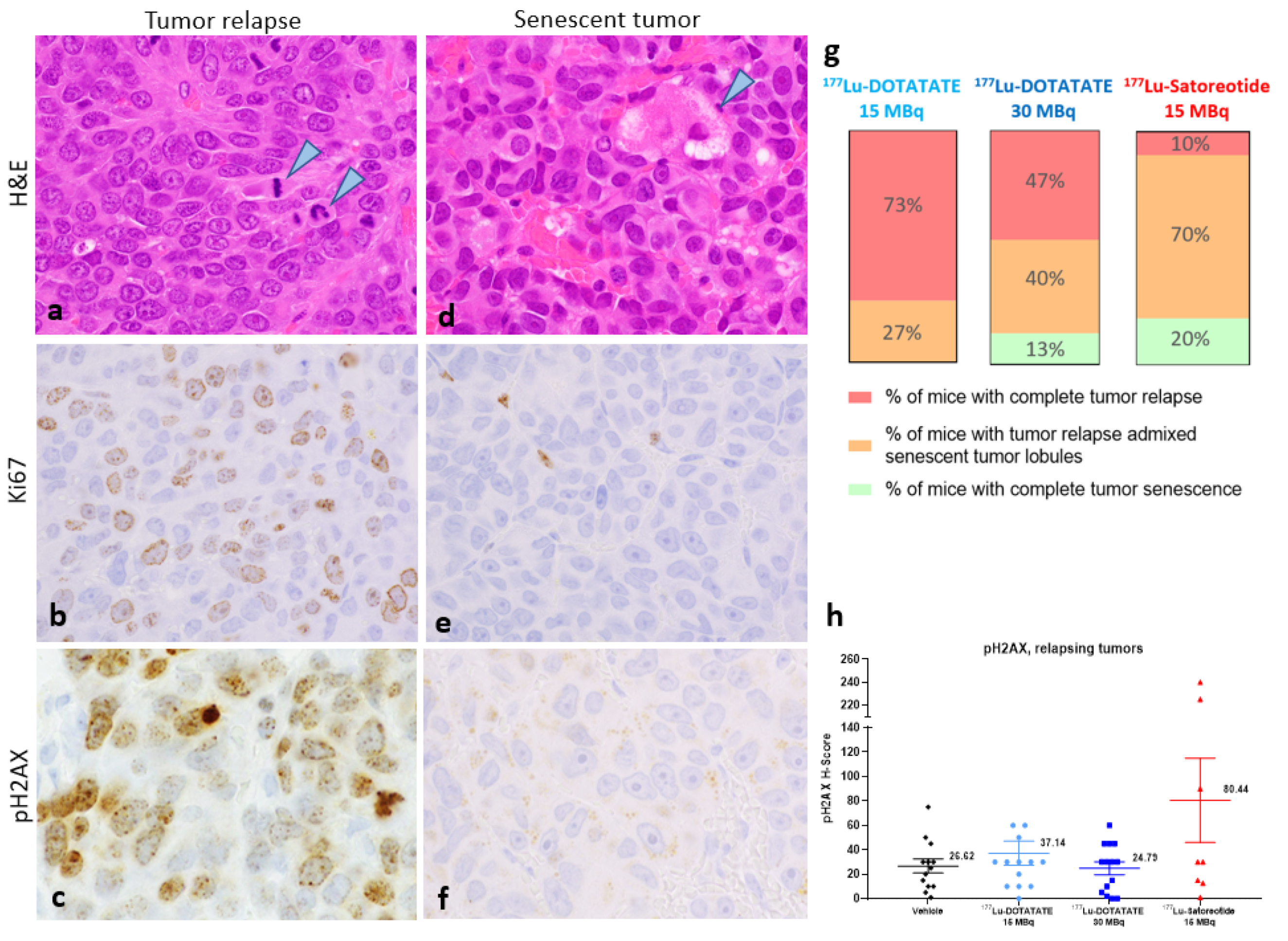Pharmaceuticals 15 01085 g005 550