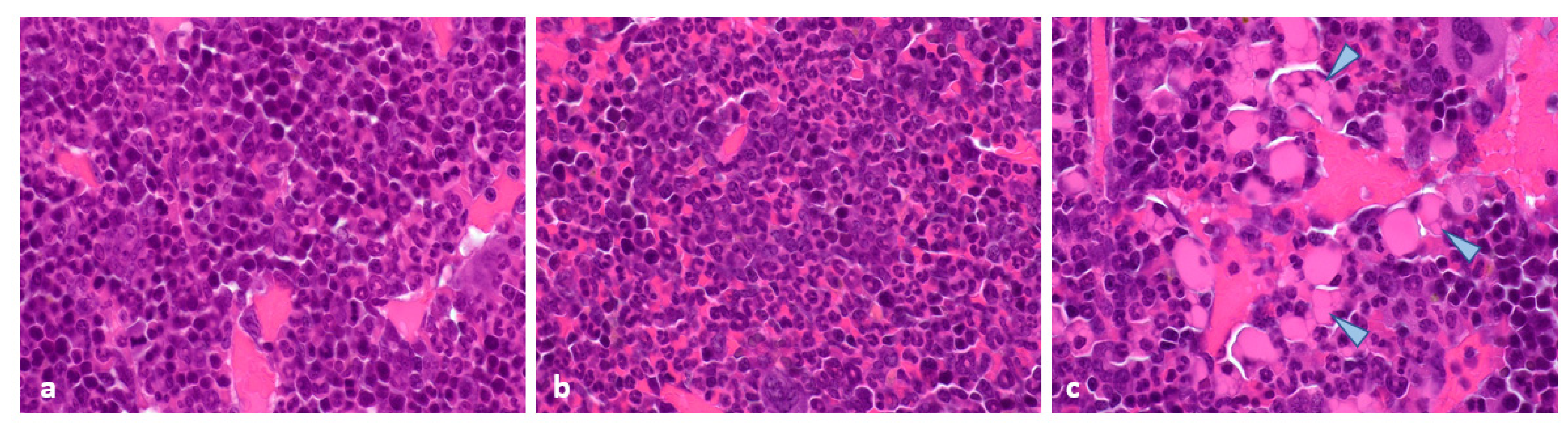 Pharmaceuticals 15 01085 g008 550