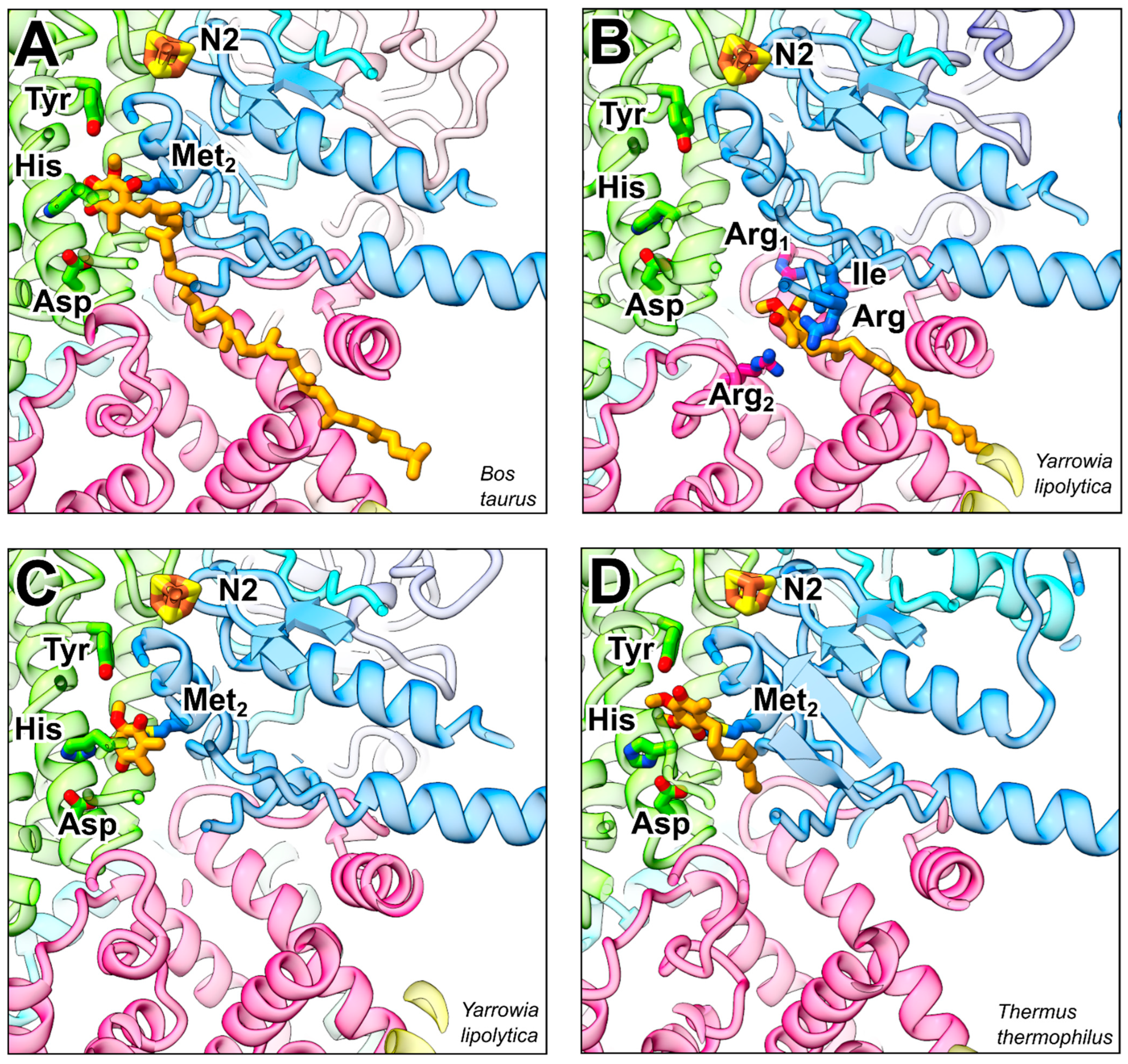 Pharmaceuticals 15 01088 g002