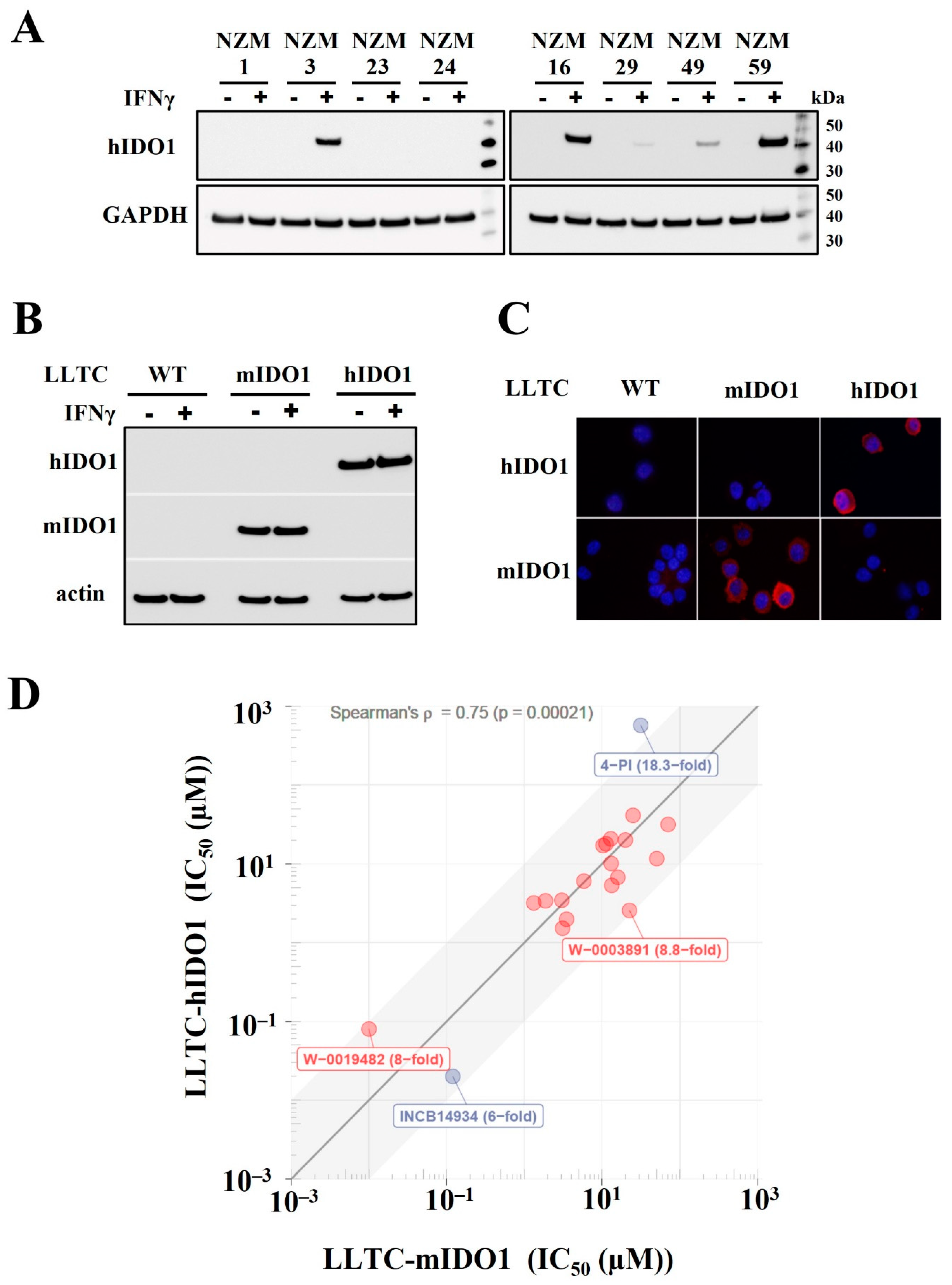 Pharmaceuticals 15 01090 g001 Pharmaceuticals 15 01090 g001