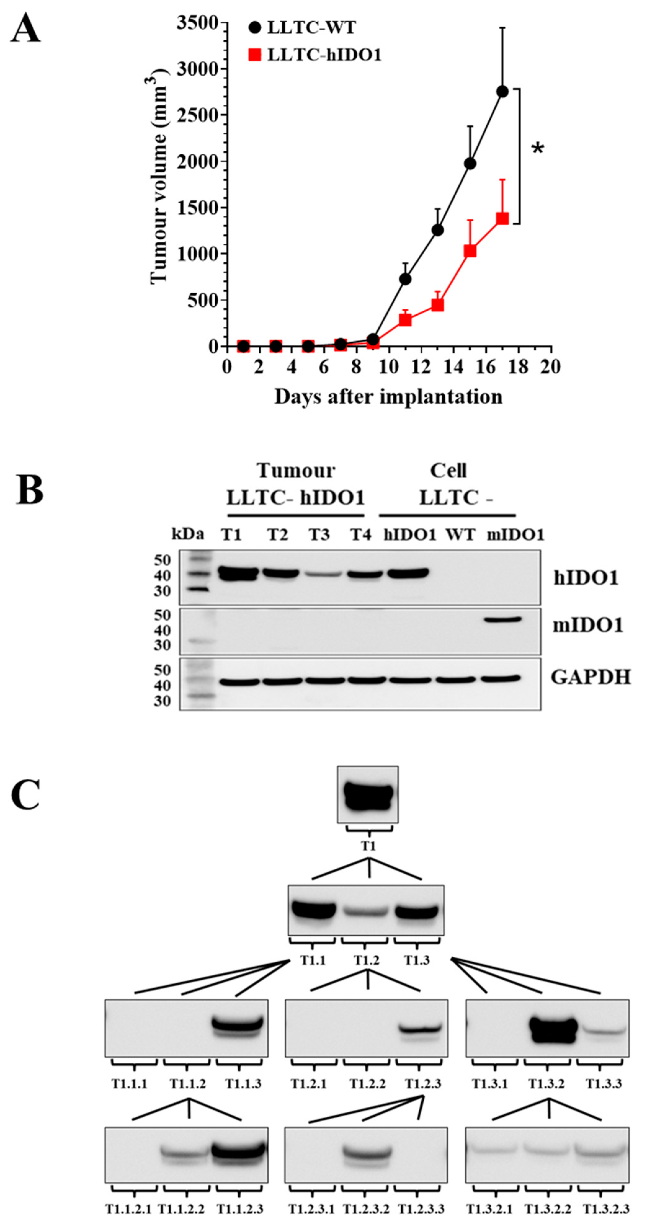 Pharmaceuticals 15 01090 g002 Pharmaceuticals 15 01090 g002