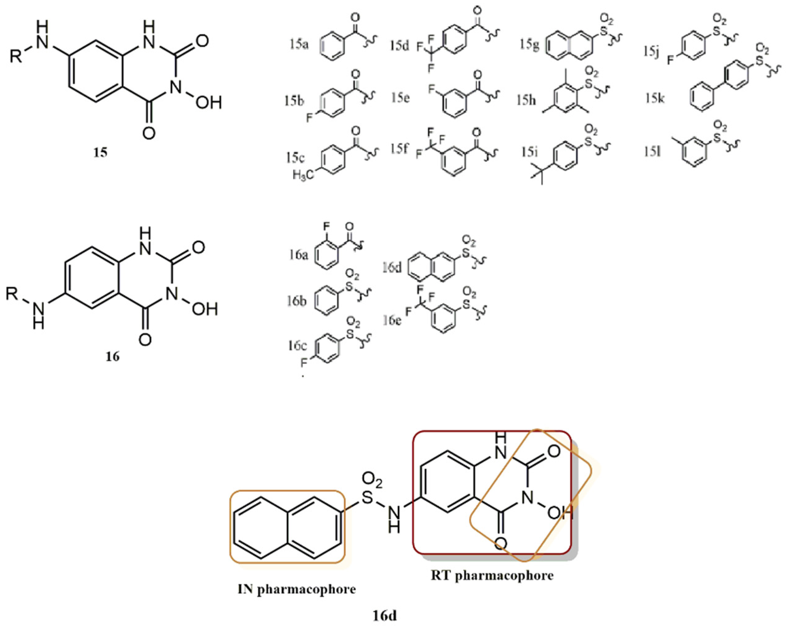 Pharmaceuticals 15 01092 g017