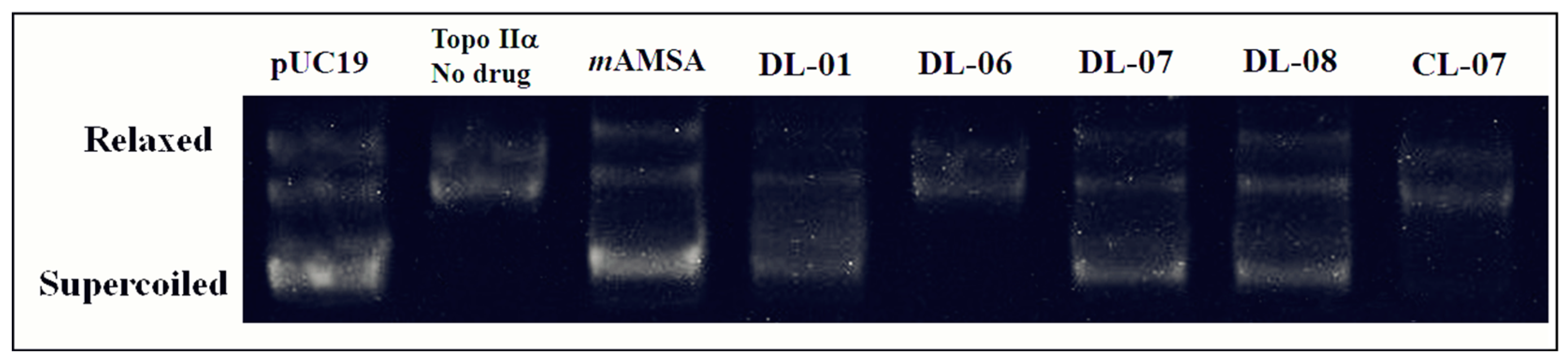 Pharmaceuticals 15 01098 g002 550