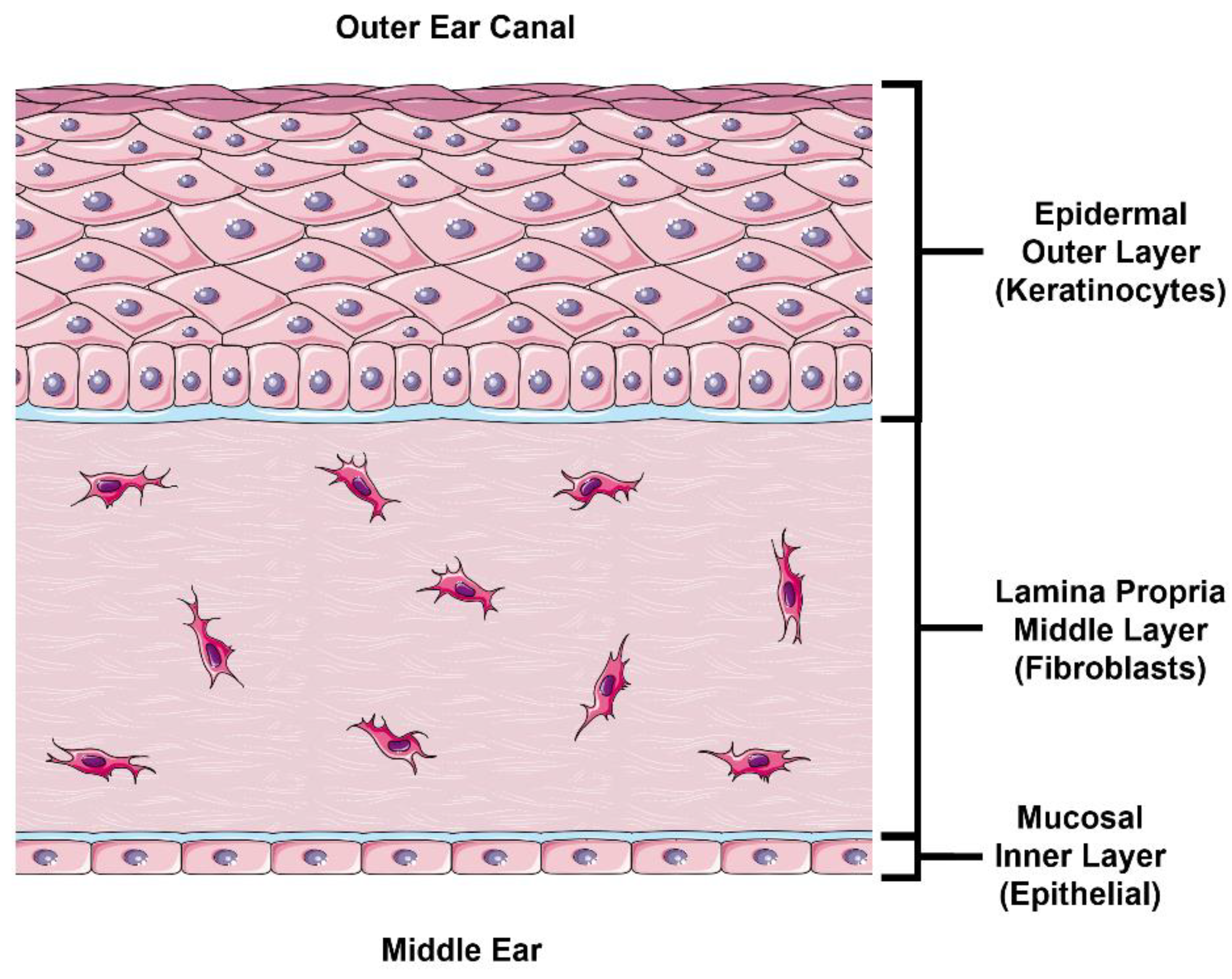 Pharmaceuticals 15 01114 g001 550