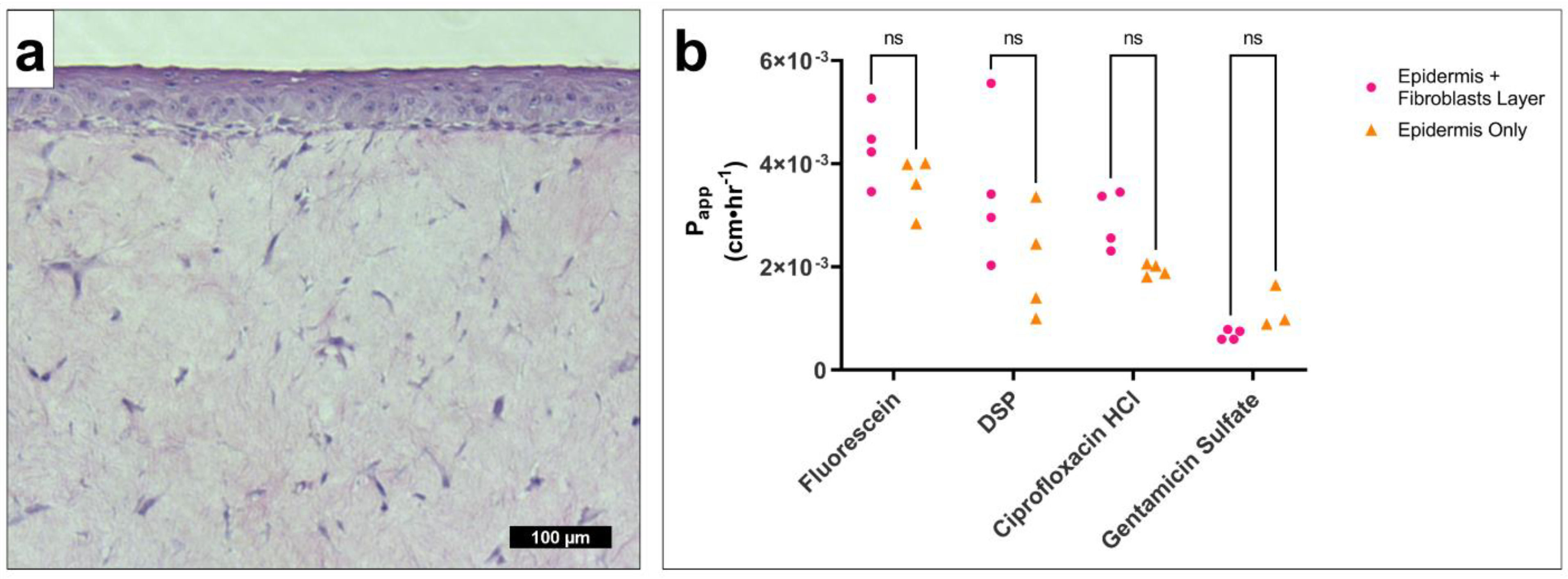 Pharmaceuticals 15 01114 g005 550