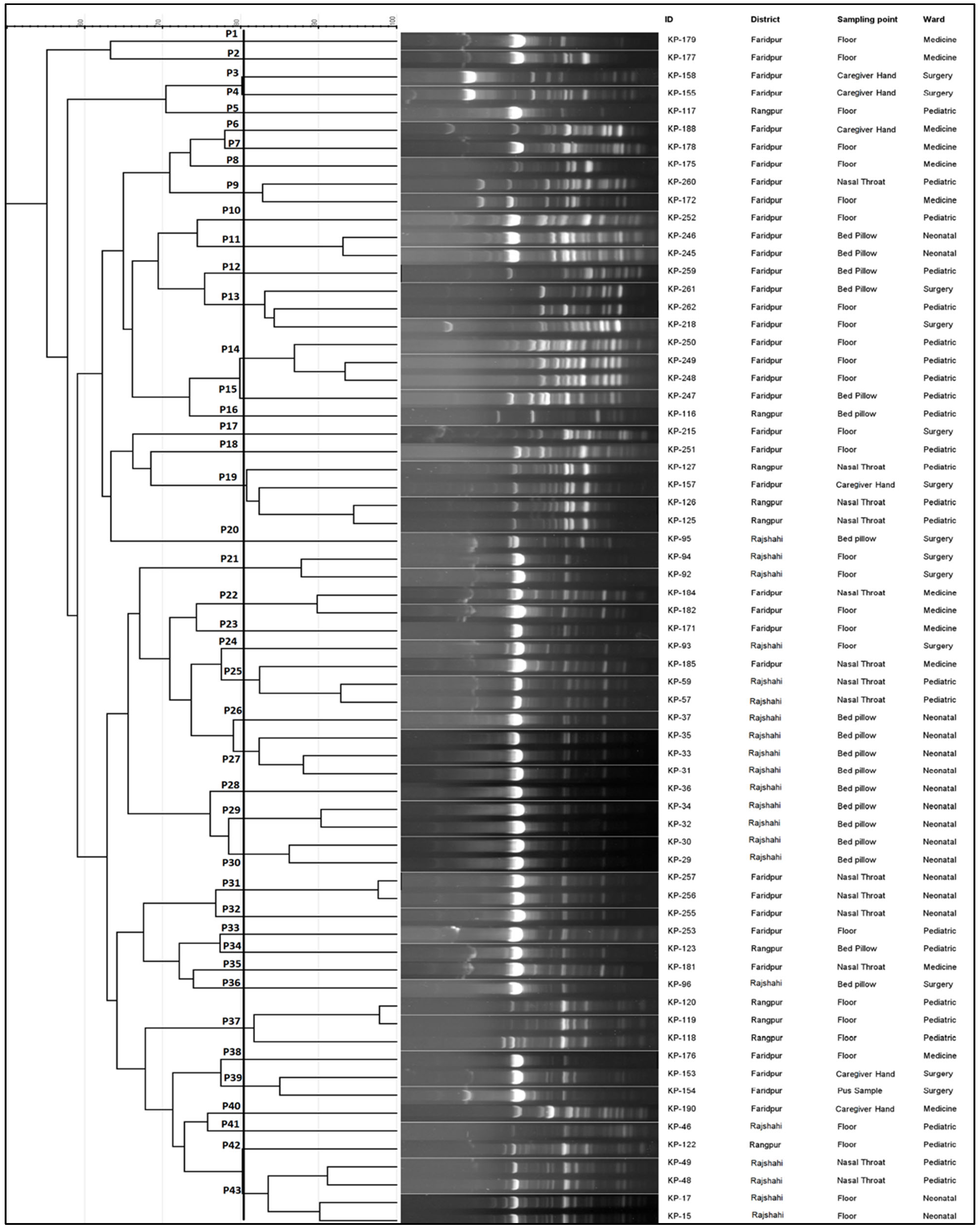 Pharmaceuticals 15 01116 g006