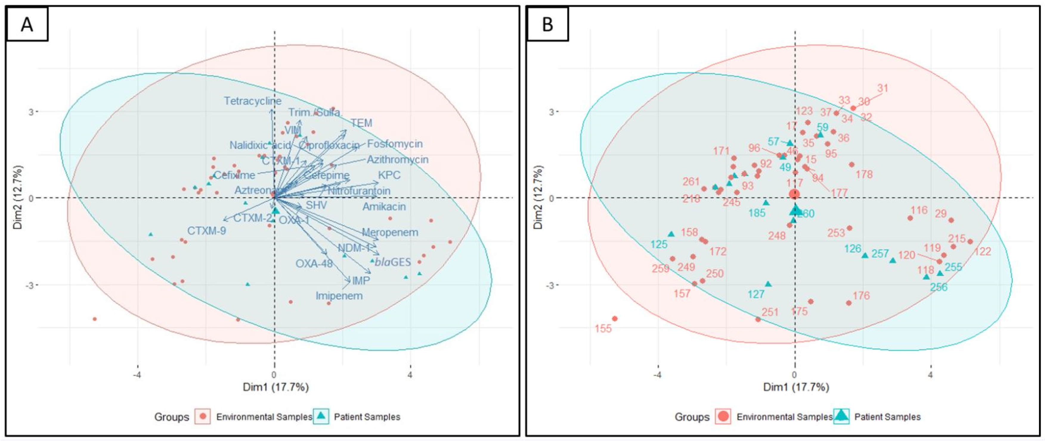 Pharmaceuticals 15 01116 g008
