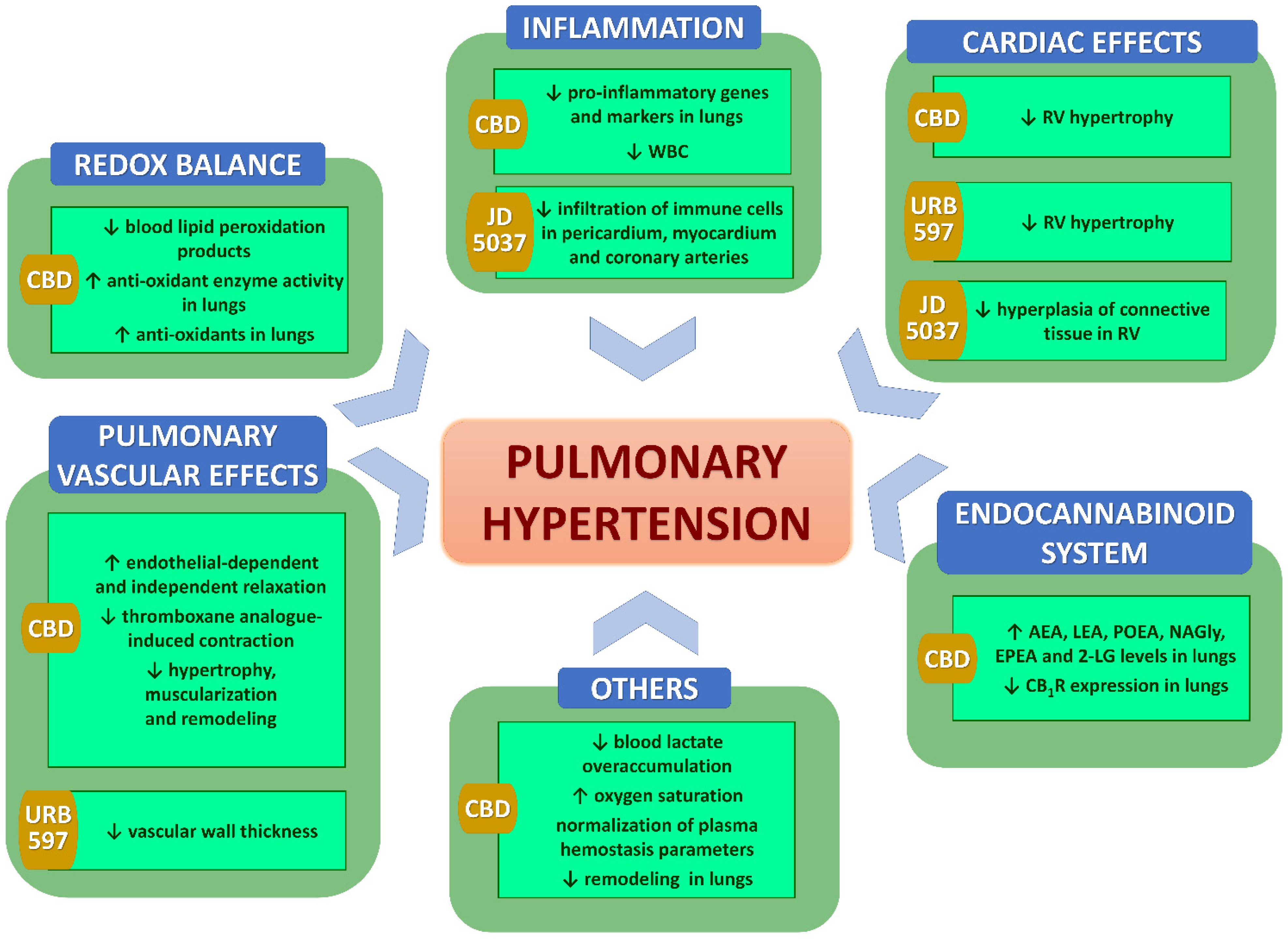 Pharmaceuticals 15 01119 g003