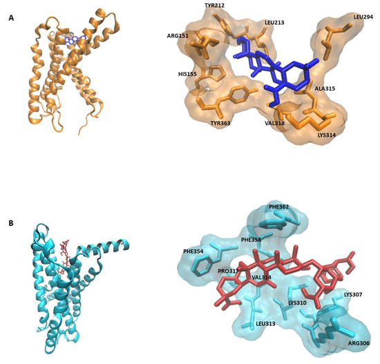 【Mass】 Modulation of Intestinal Corticotropin-Releasing Hormone