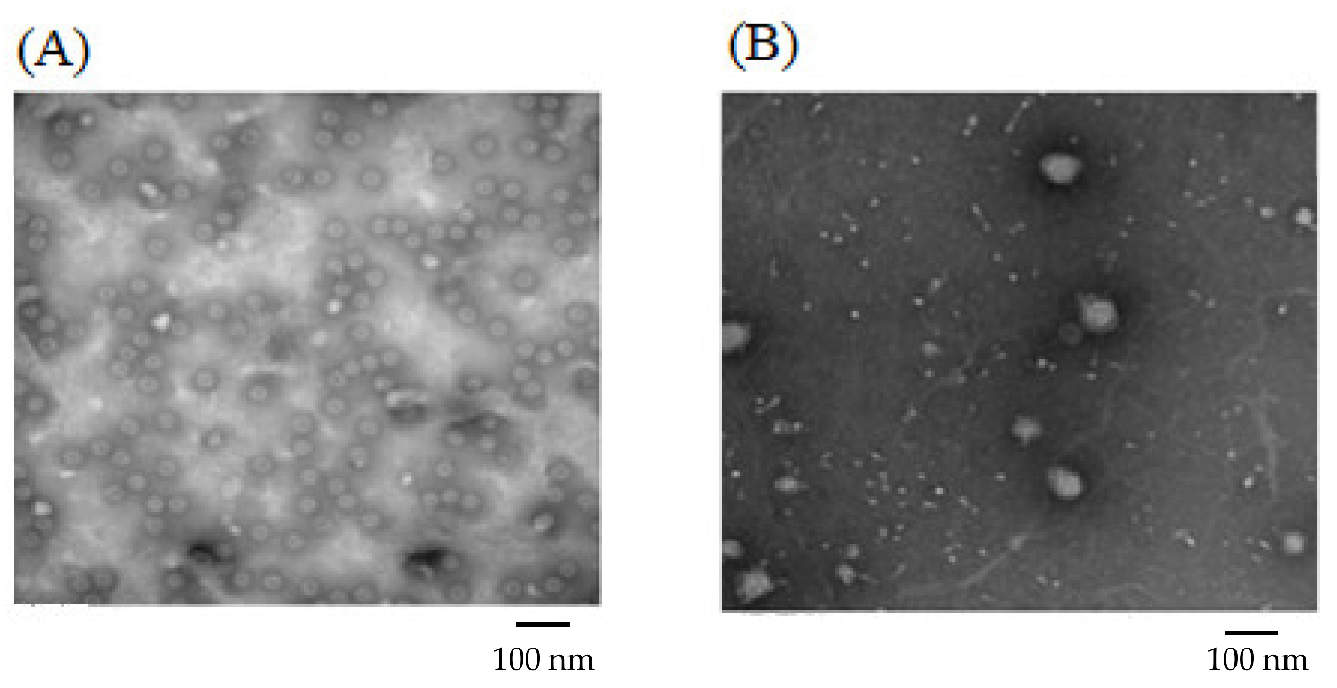 Pharmaceuticals 15 01128 g003 550