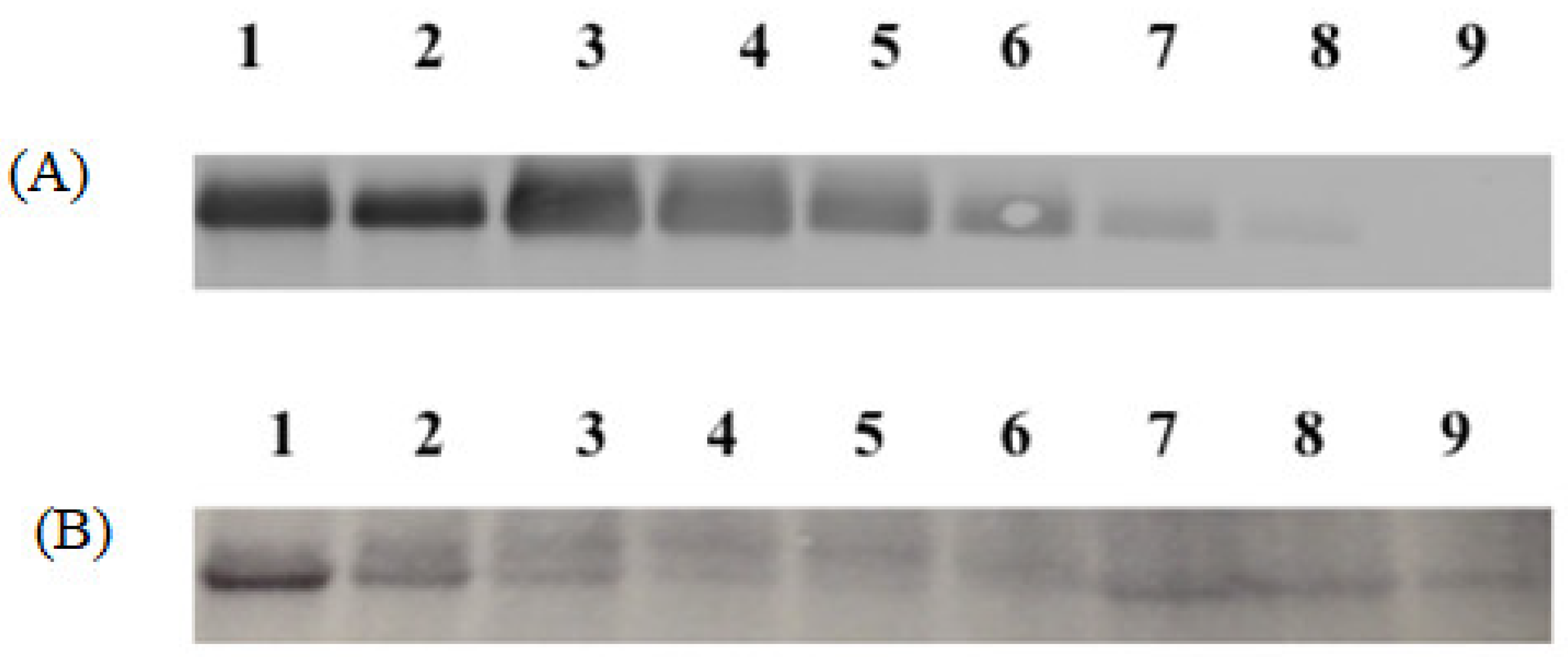 Pharmaceuticals 15 01128 g004 550