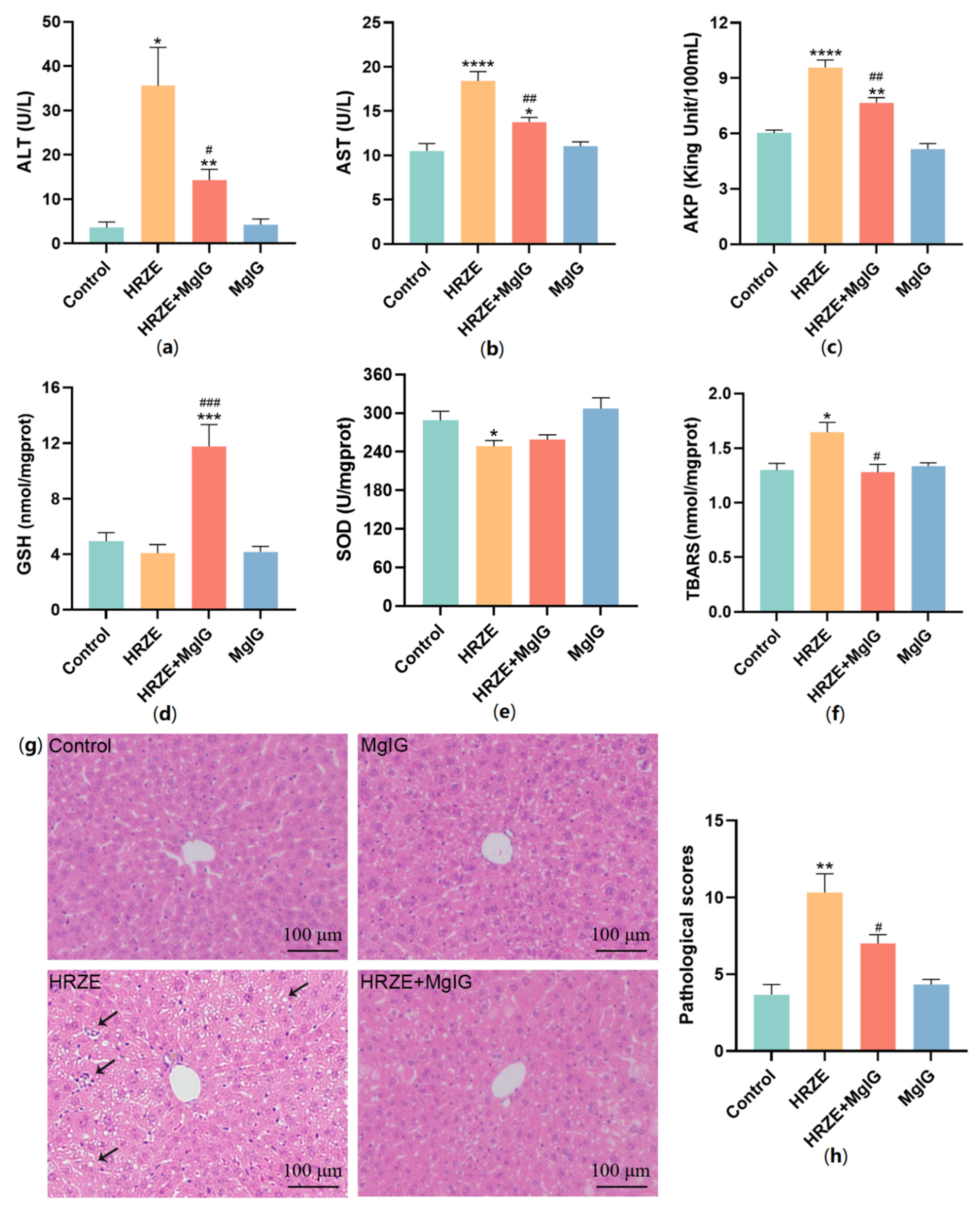 Pharmaceuticals 15 01130 g001 550