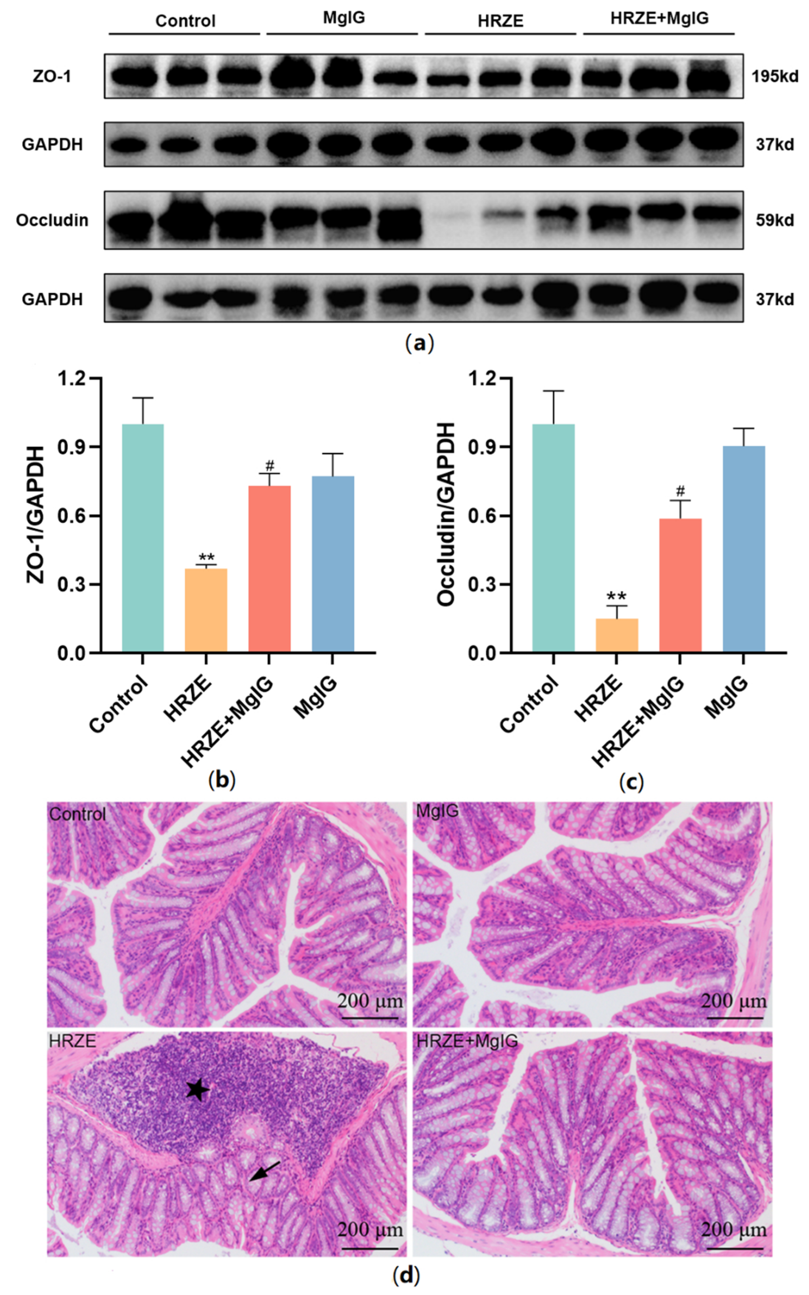 Pharmaceuticals 15 01130 g004 550