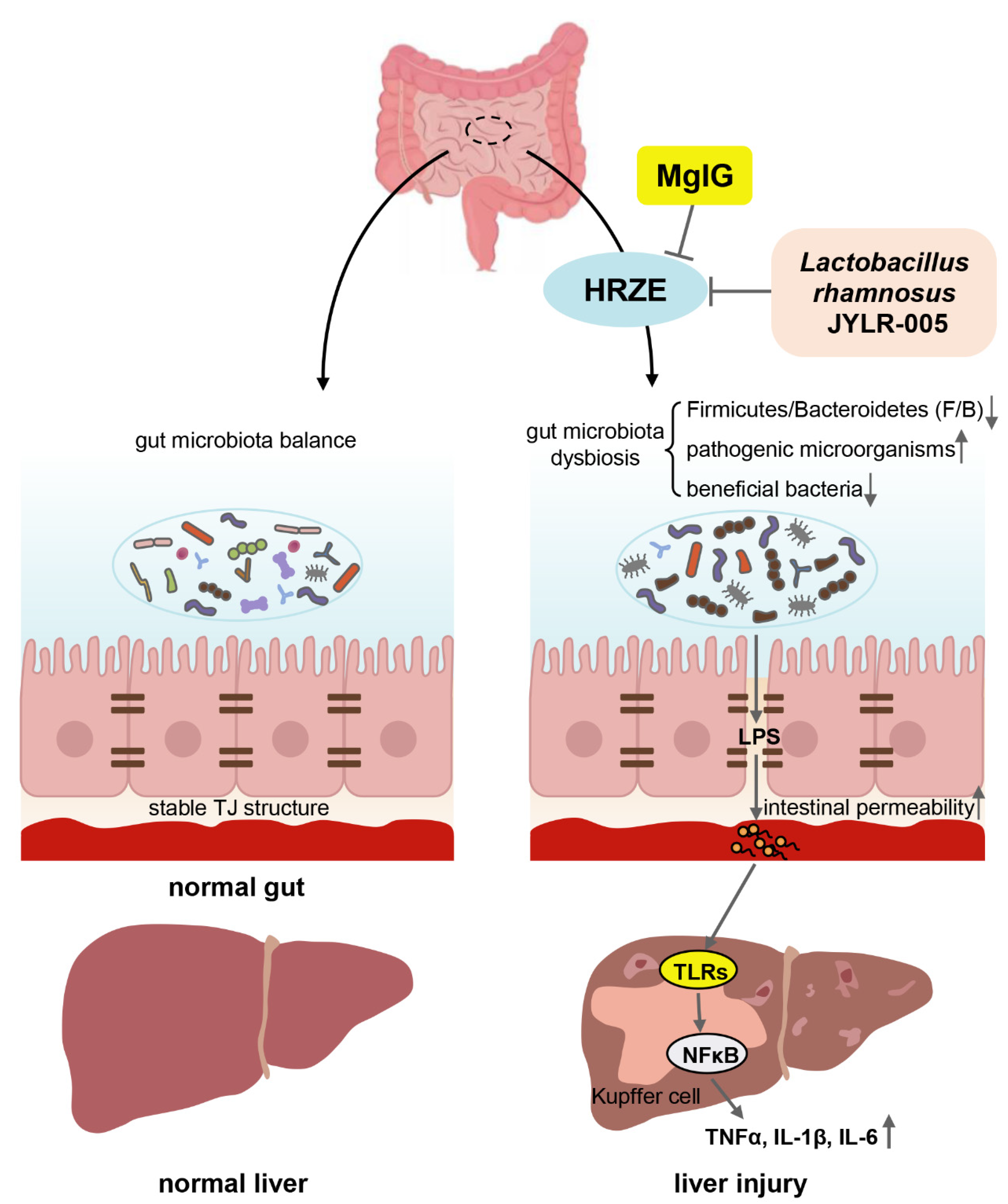 Pharmaceuticals 15 01130 g008 550