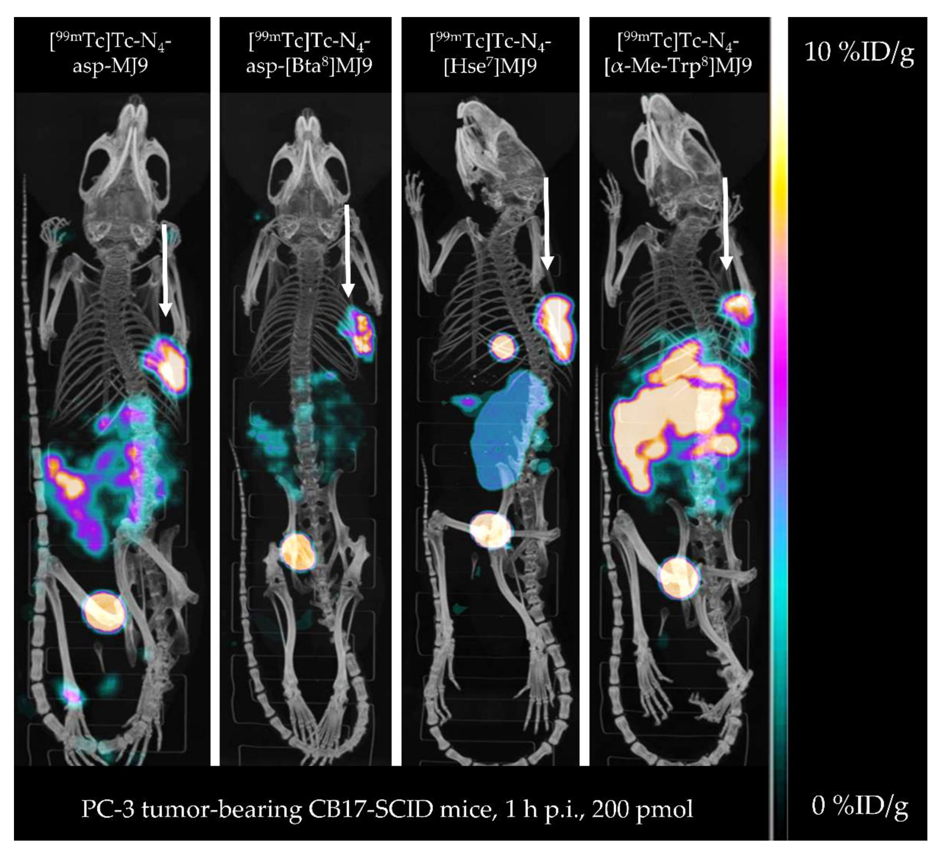 Pharmaceuticals 15 01133 g004 550
